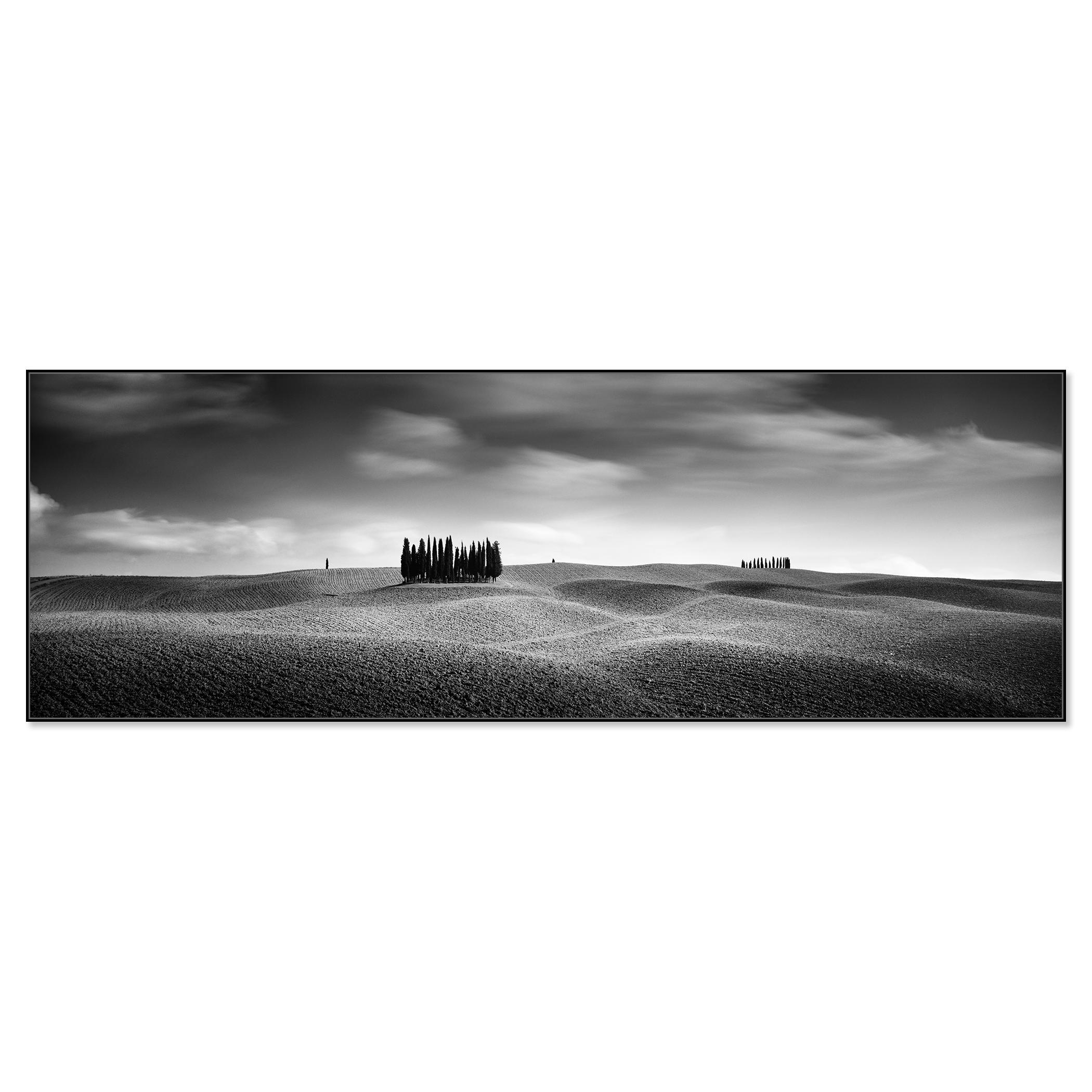 Cypress Hill Panorama, Trees, Tuscany, black and white photography, landscape - Photograph by Gerald Berghammer