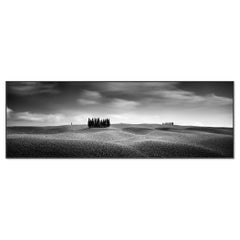 Cypress Hill Panorama, Trees, Tuscany, black and white photography, landscape
