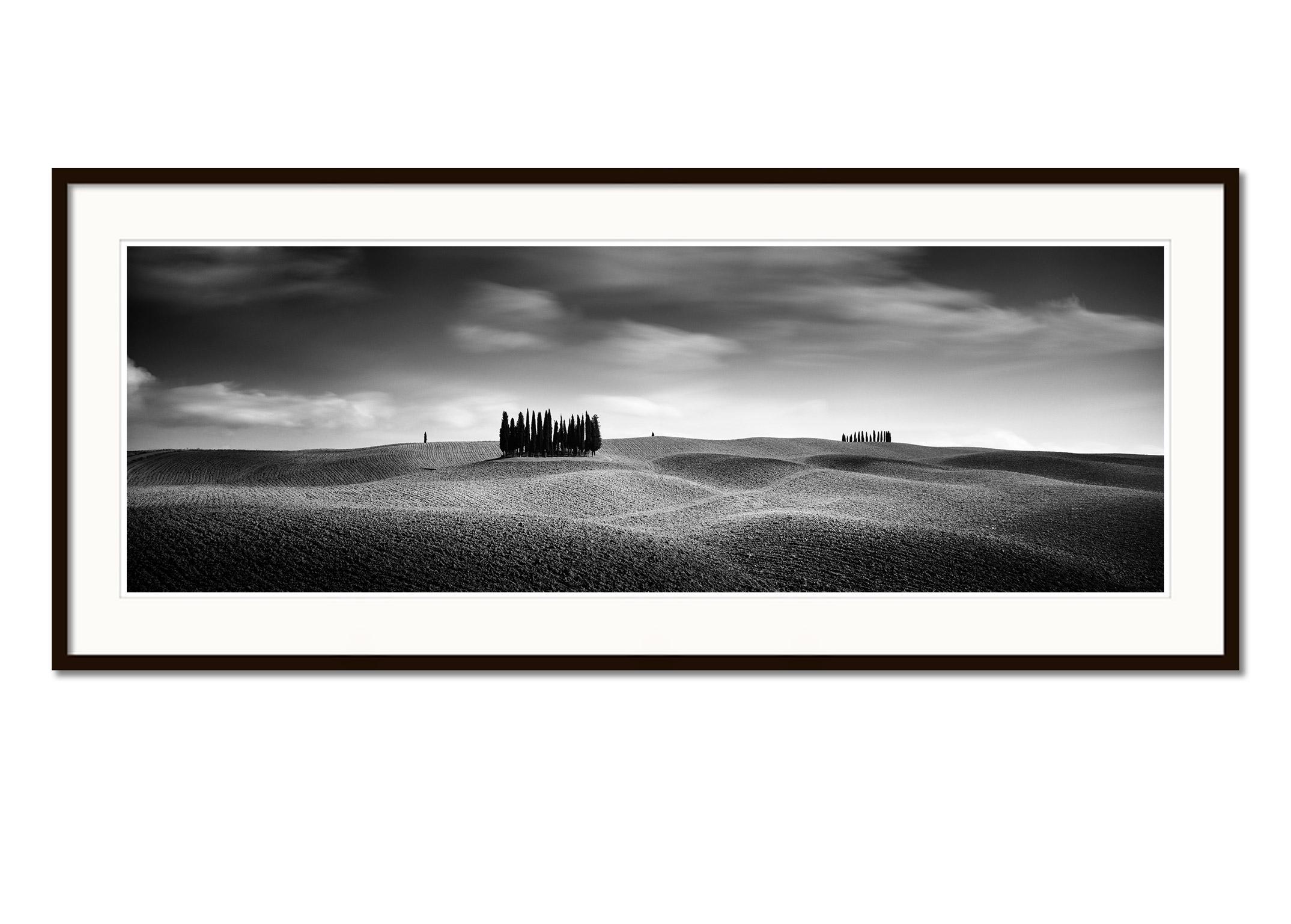 Cypress Hill Panorama, Trees, Tuscany, black and white photography, landscape - Contemporary Photograph by Gerald Berghammer