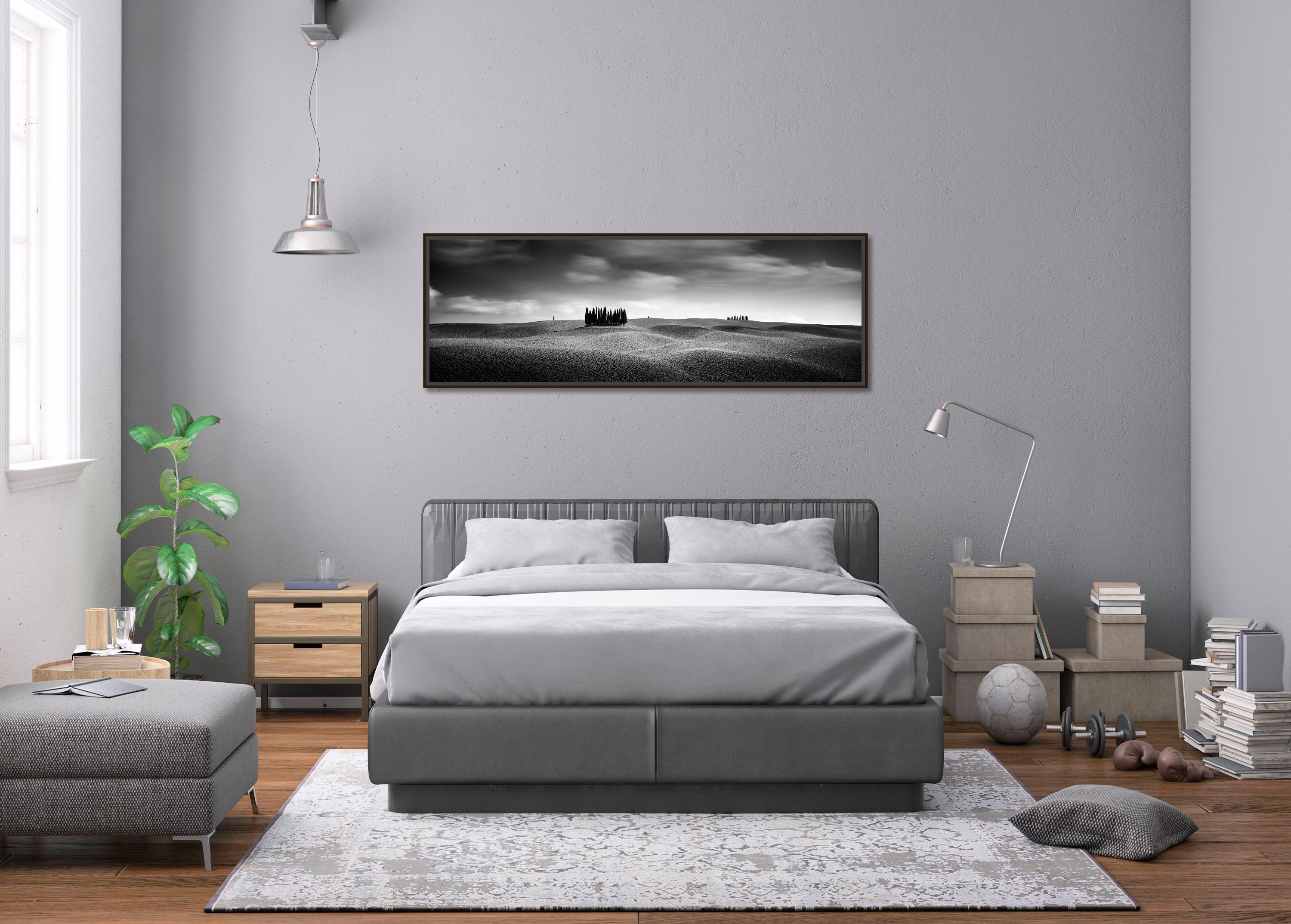 Black and white fine art panorama landscape photography print. Cypresses tree circle in the hills of Tuscany, Italy. Archival pigment ink print, edition of 7. Signed, titled, dated and numbered by artist. Certificate of authenticity included.