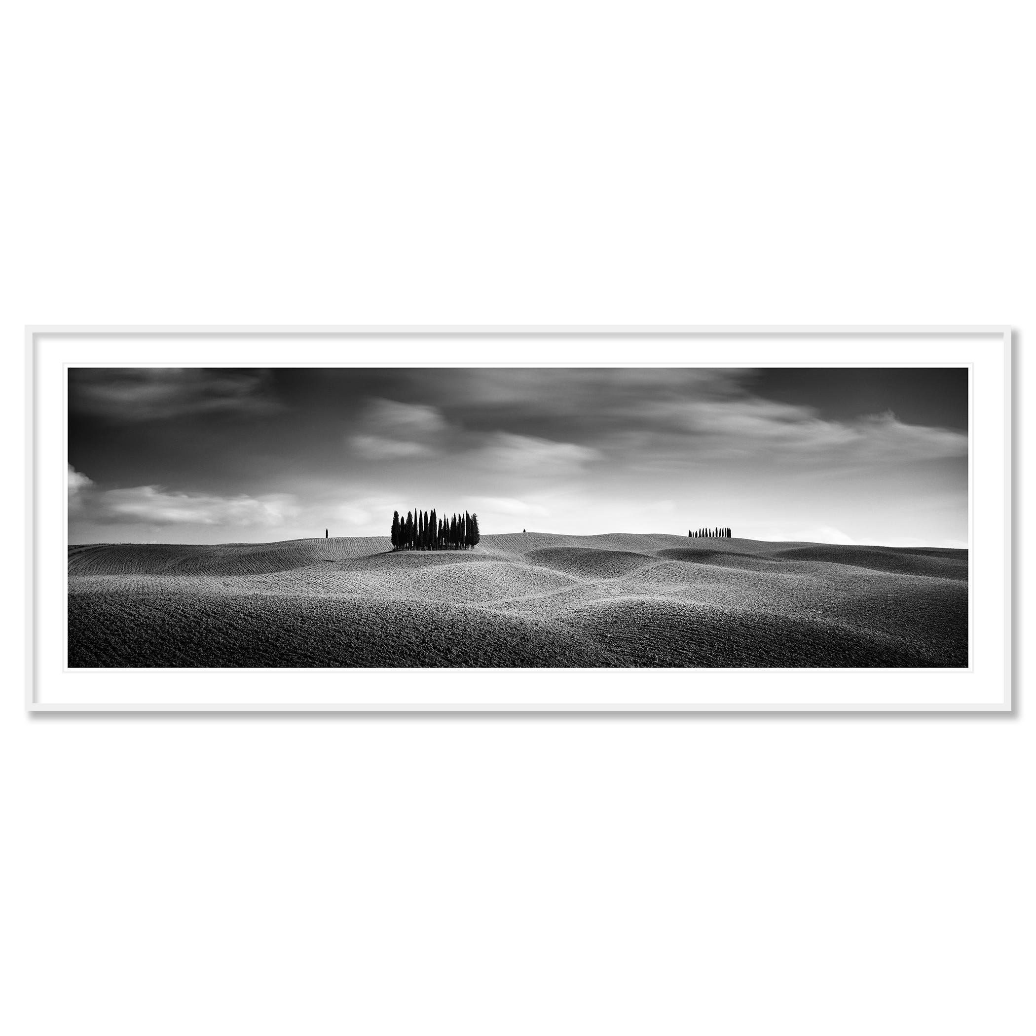 Cypress Hill Panorama, Trees, Tuscany, black and white photography, landscape - Contemporary Photograph by Gerald Berghammer