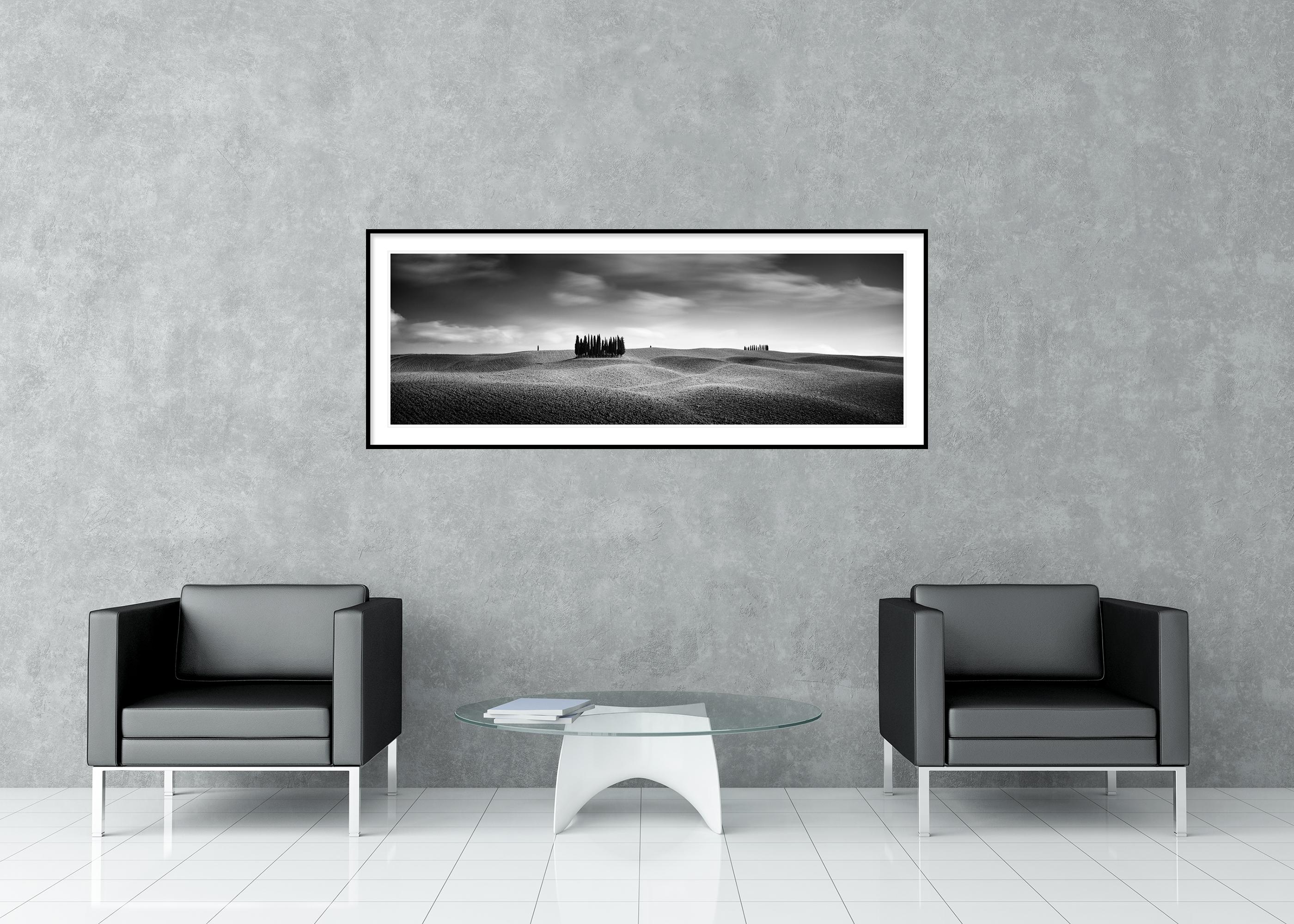 Cypress Hill Panorama, Trees, Tuscany, black and white photography, landscape - Gray Landscape Photograph by Gerald Berghammer