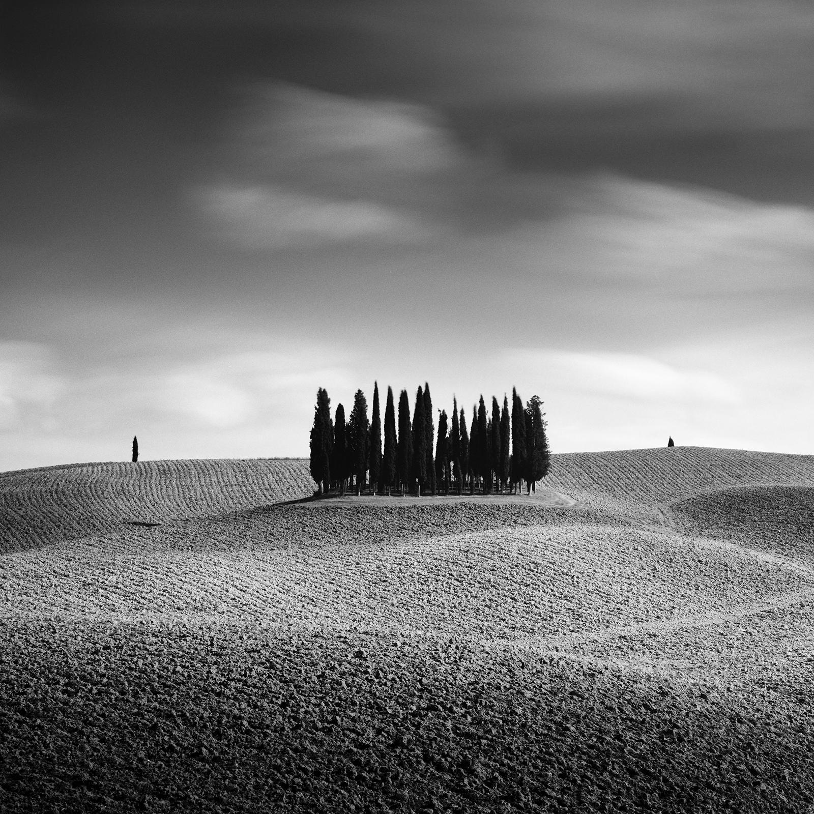 Cypress Hill Panorama, Trees, Tuscany, black and white photography, landscape For Sale 2