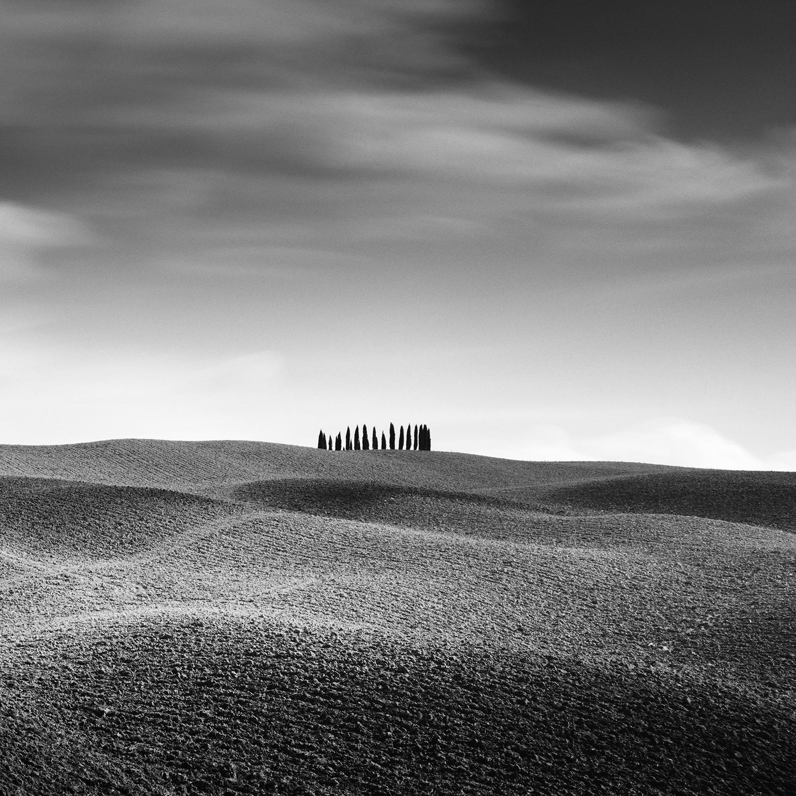 Cypress Hill Panorama, Trees, Tuscany, black and white photography, landscape For Sale 3