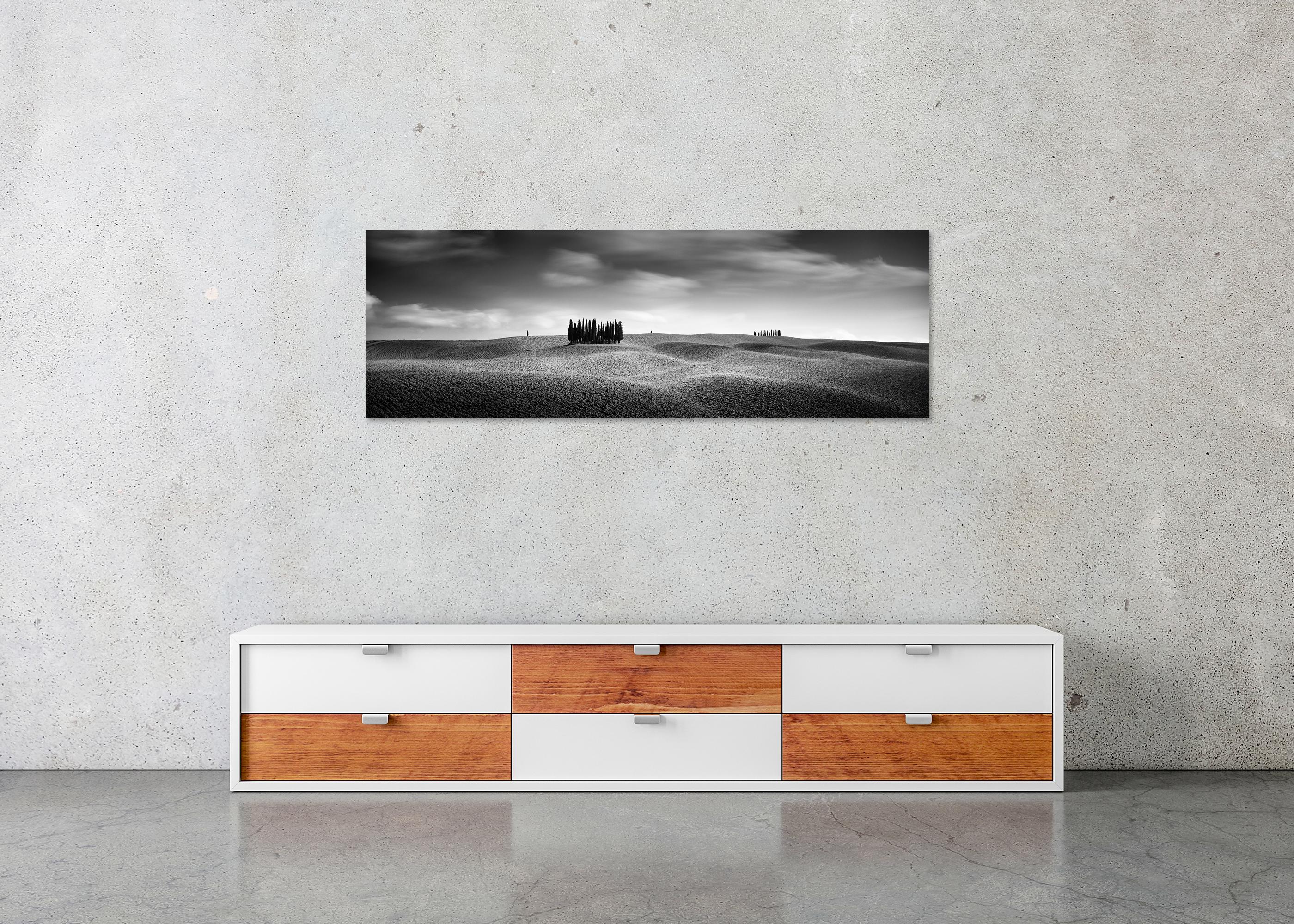 Cypress Hill Panorama, Trees, Tuscany, black and white photography, landscape For Sale 1