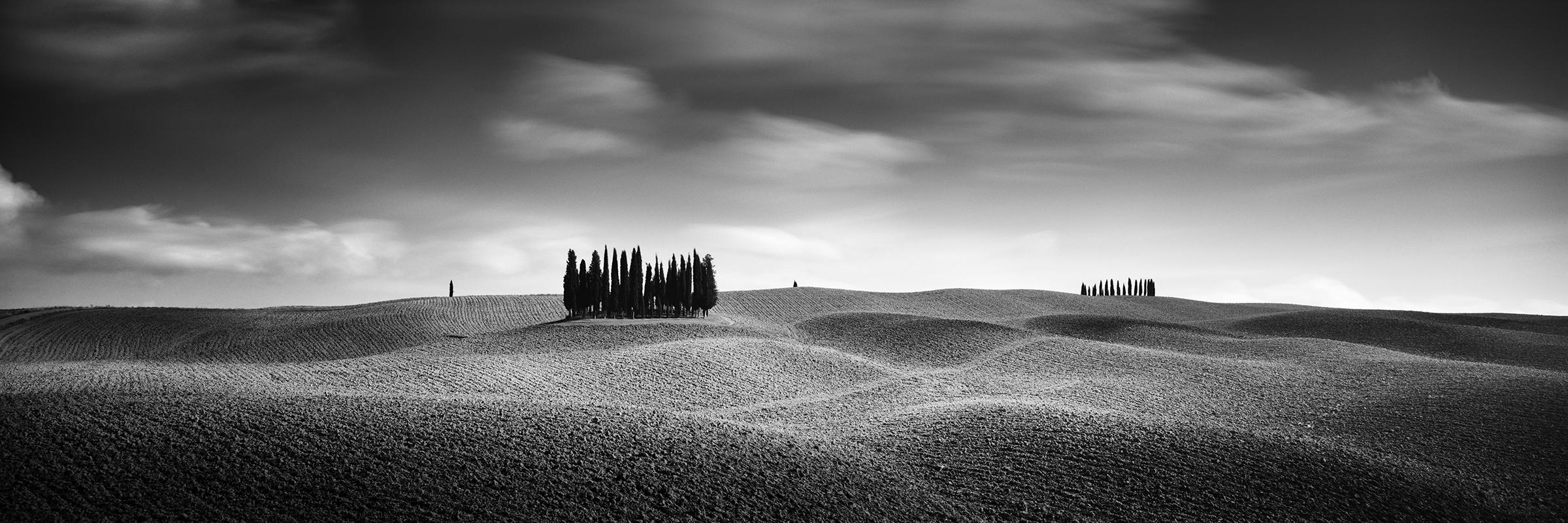 Cypress Hill Panorama, Trees, Tuscany, black and white photography, landscape