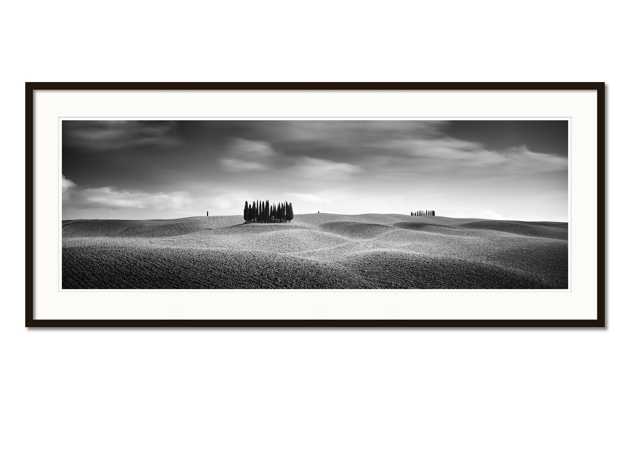 Cypress Hill Panorama, Trees, Tuscany, black and white photography landscapes - Gray Landscape Photograph by Gerald Berghammer