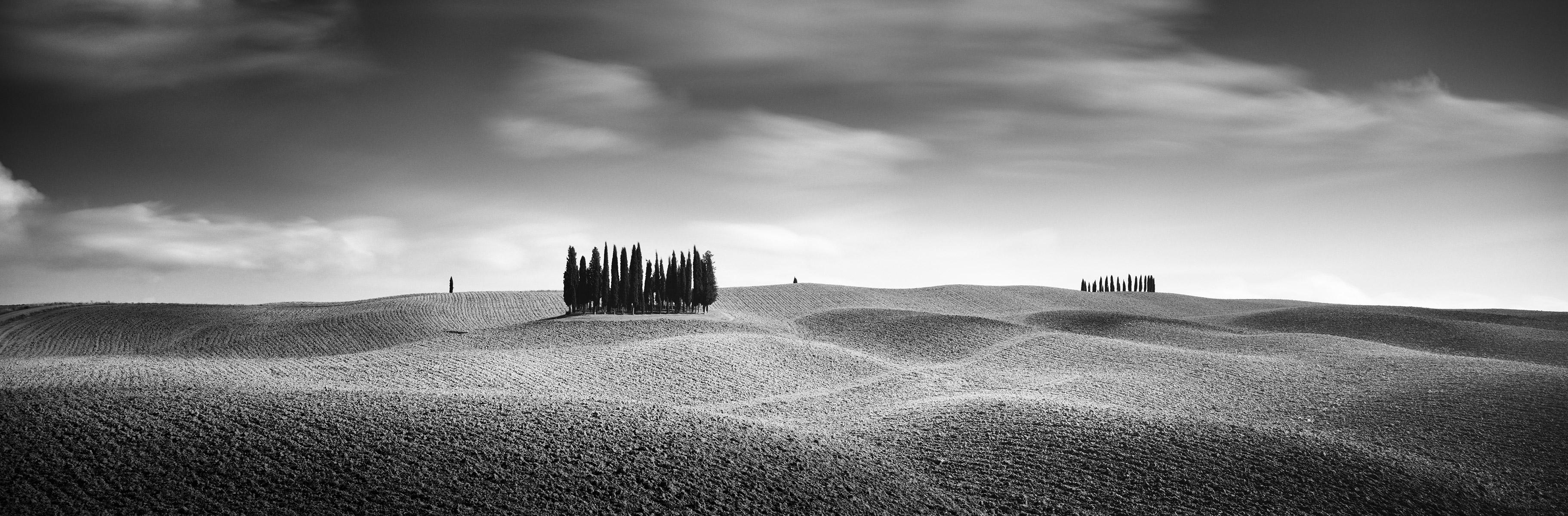 Gerald Berghammer Landscape Photograph - Cypress Hill Panorama, Trees, Tuscany, black and white photography landscapes