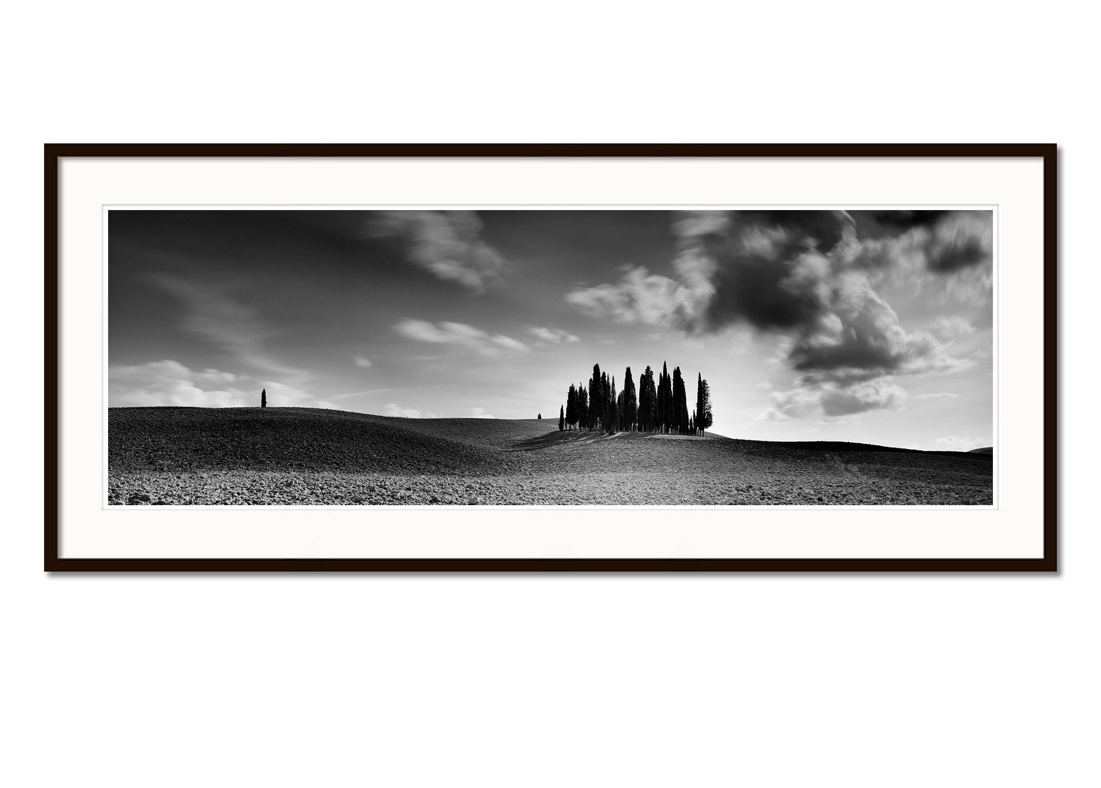 Cypress Tree, Field, Panorama, Tuscany, black and white landscape photography - Contemporary Photograph by Gerald Berghammer