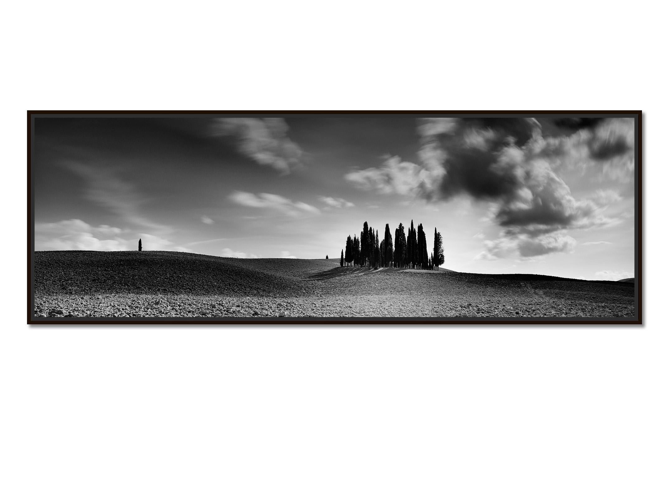 Cypress Tree, Field, Panorama, Tuscany, black and white landscape photography - Photograph by Gerald Berghammer