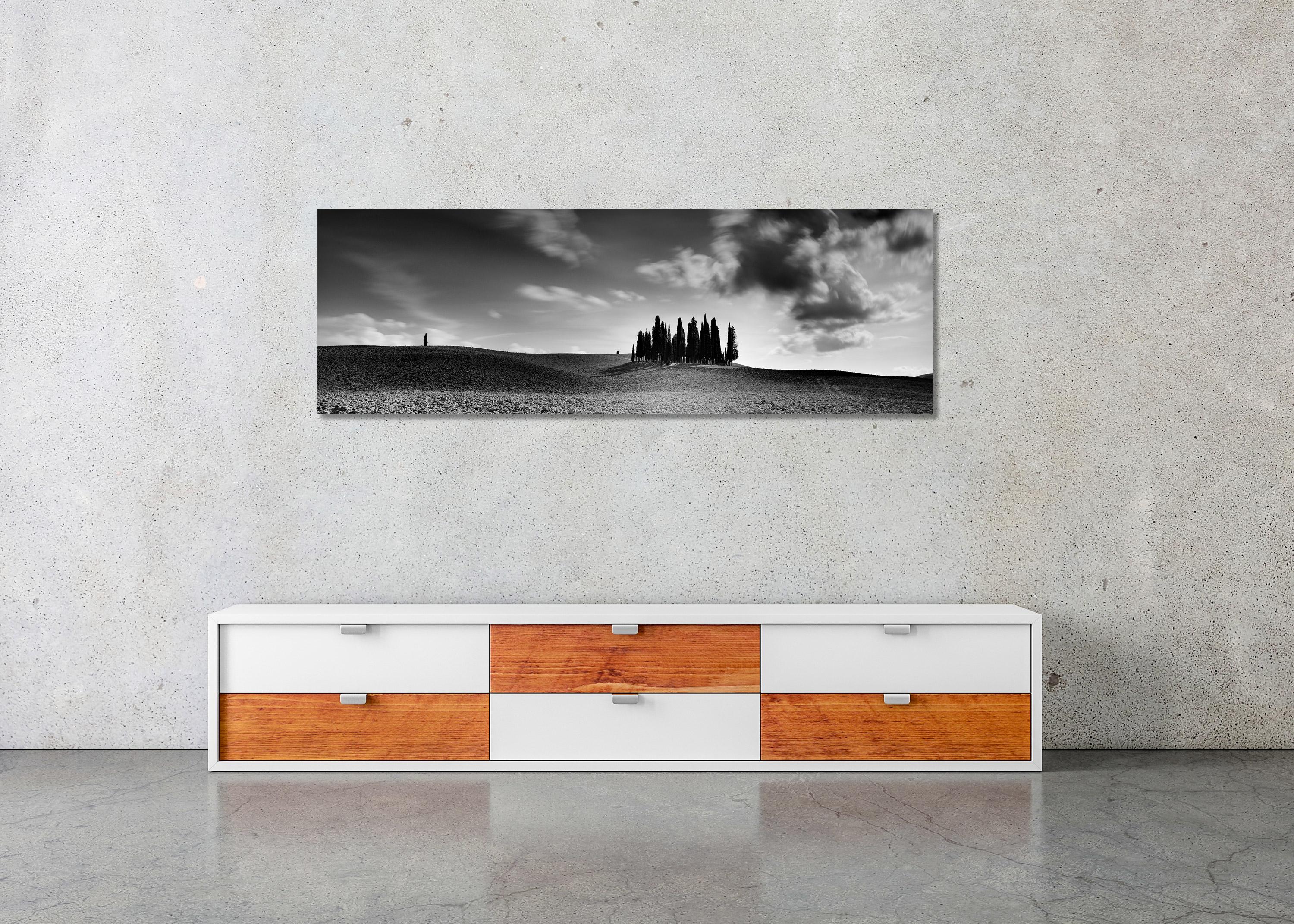 Black and white fine art long exposure panorama landscape photography print. Cypress trees in a hilly landscape in the middle of Tuscany, Italy. Archival pigment ink print, edition of 9. Signed, titled, dated and numbered by artist. Certificate of