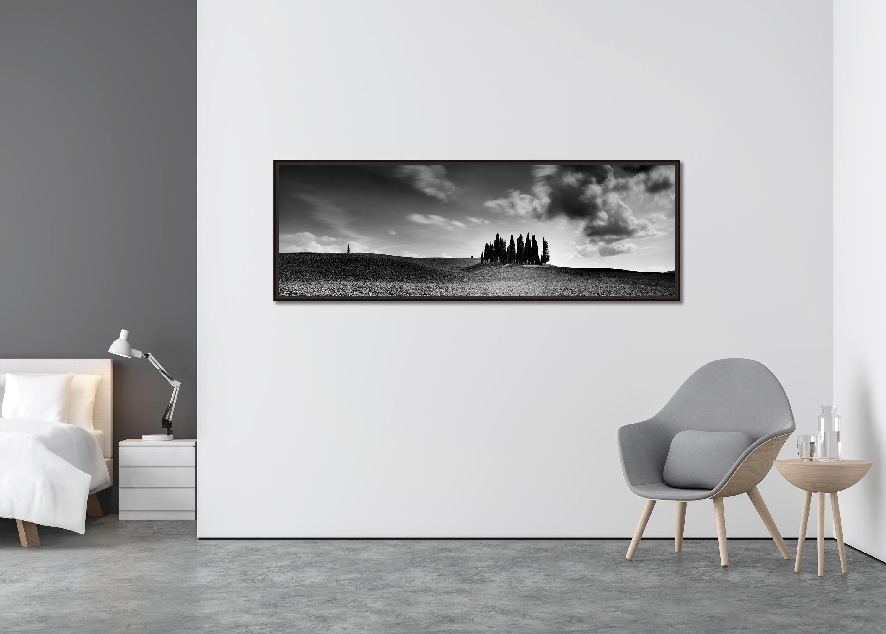 Zypressenbaum, Feld, Panorama, Toskana, Schwarz-Weiß-Landschaftsfotografie (Zeitgenössisch), Photograph, von Gerald Berghammer