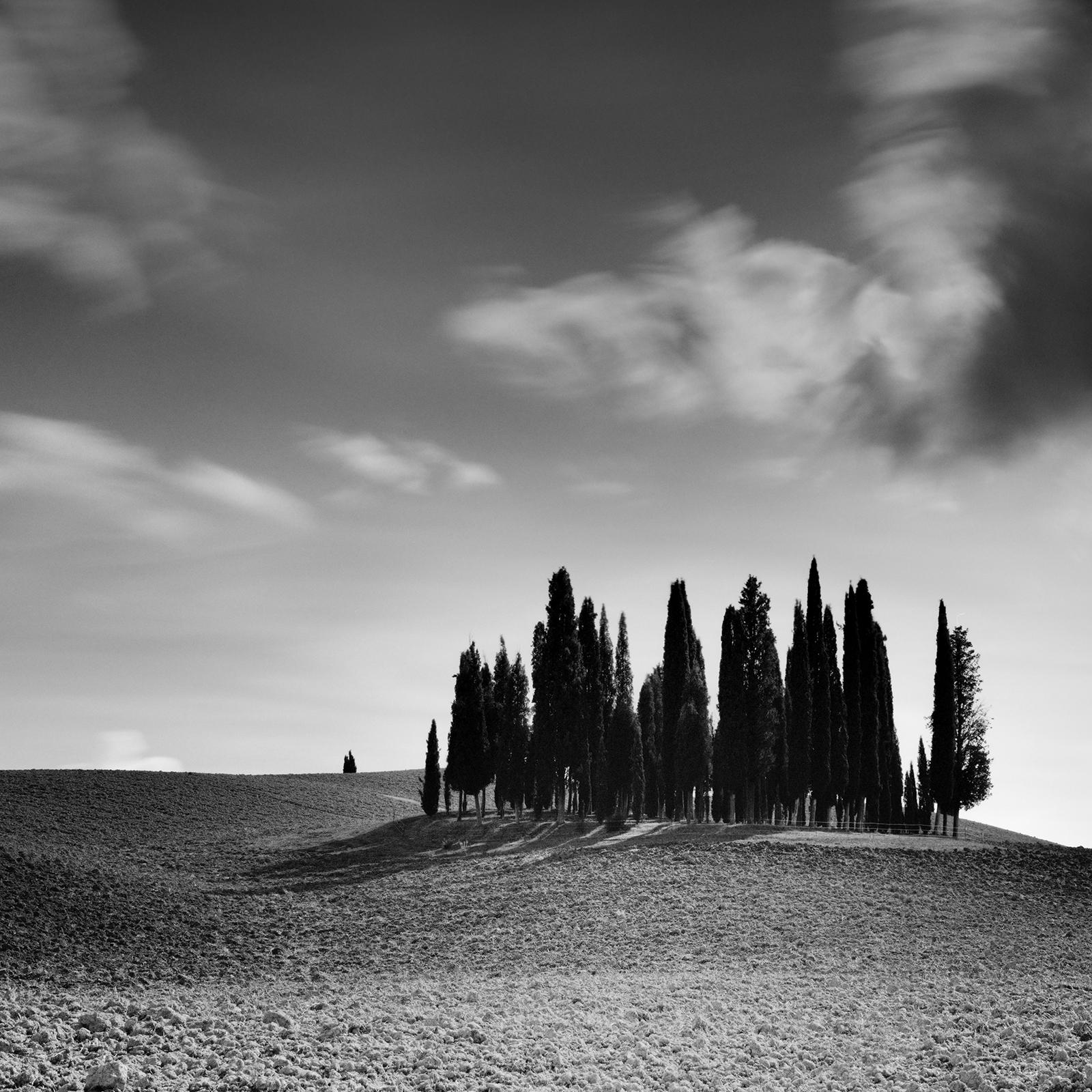 Cypress Tree, Field, Panorama, Tuscany, black and white landscape photography For Sale 2