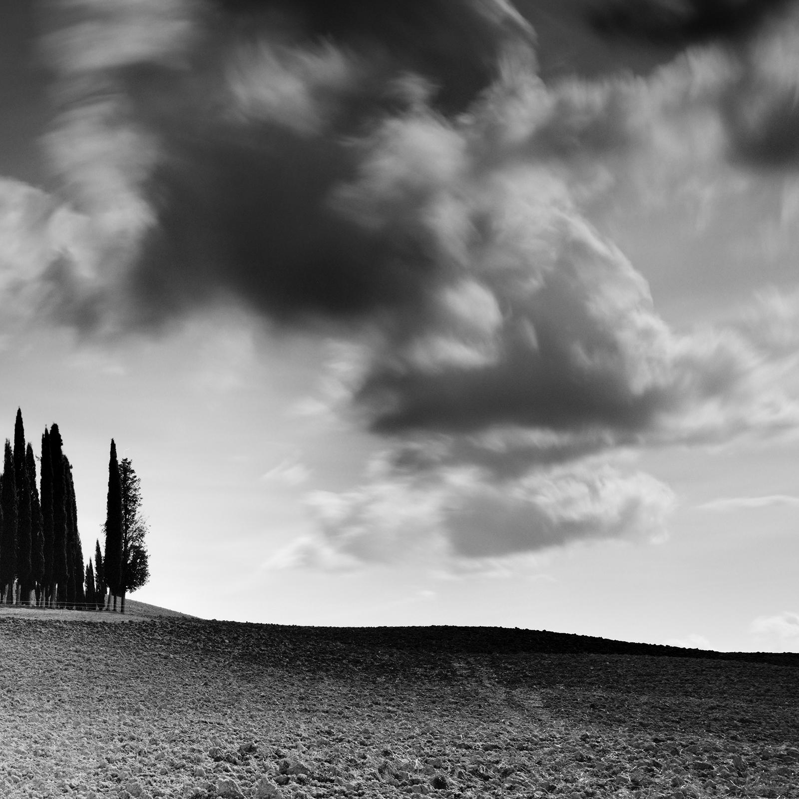 Cypress Tree, Field, Panorama, Tuscany, black and white landscape photography For Sale 3