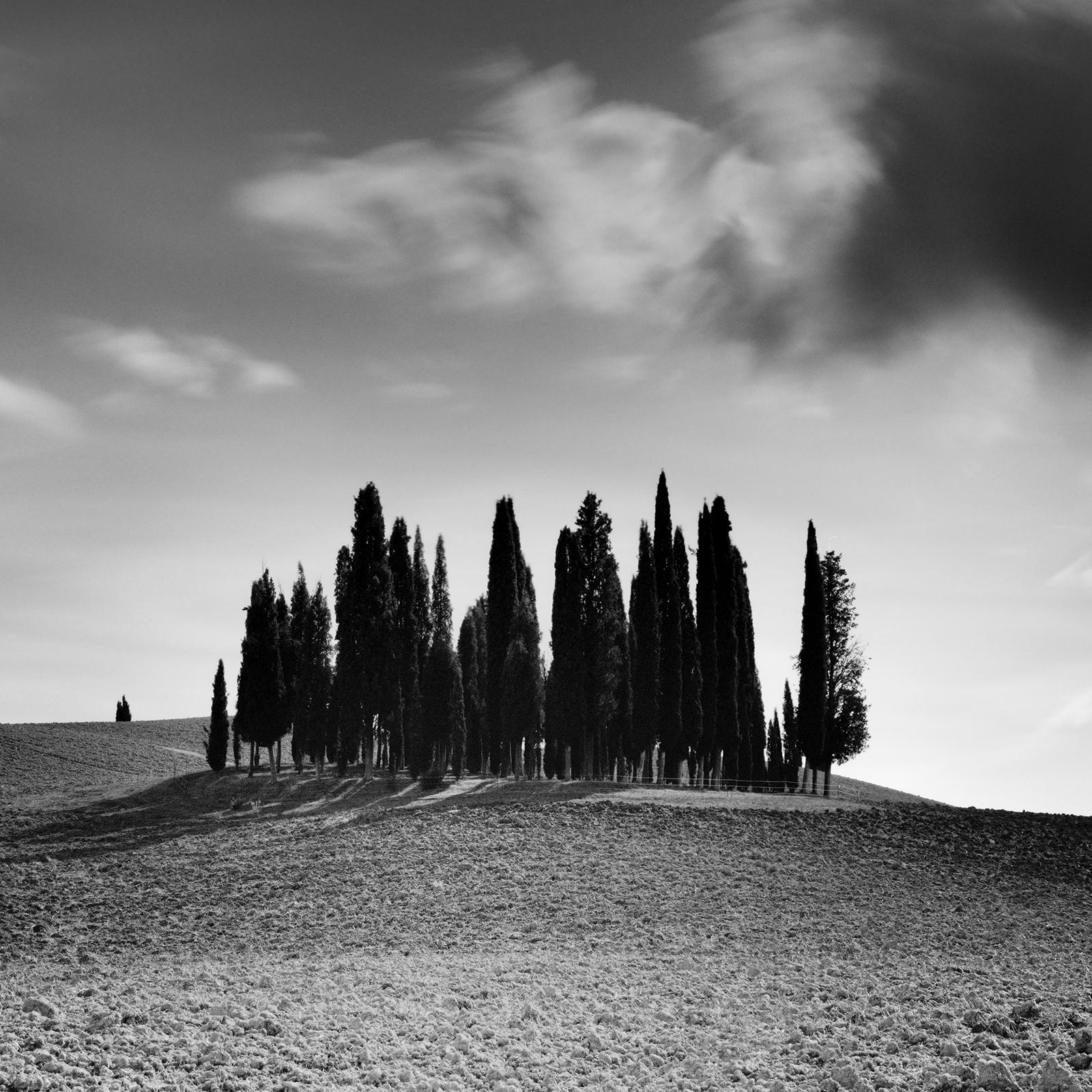 Cypress Tree, Field, Panorama, Tuscany, black and white landscape photography For Sale 4