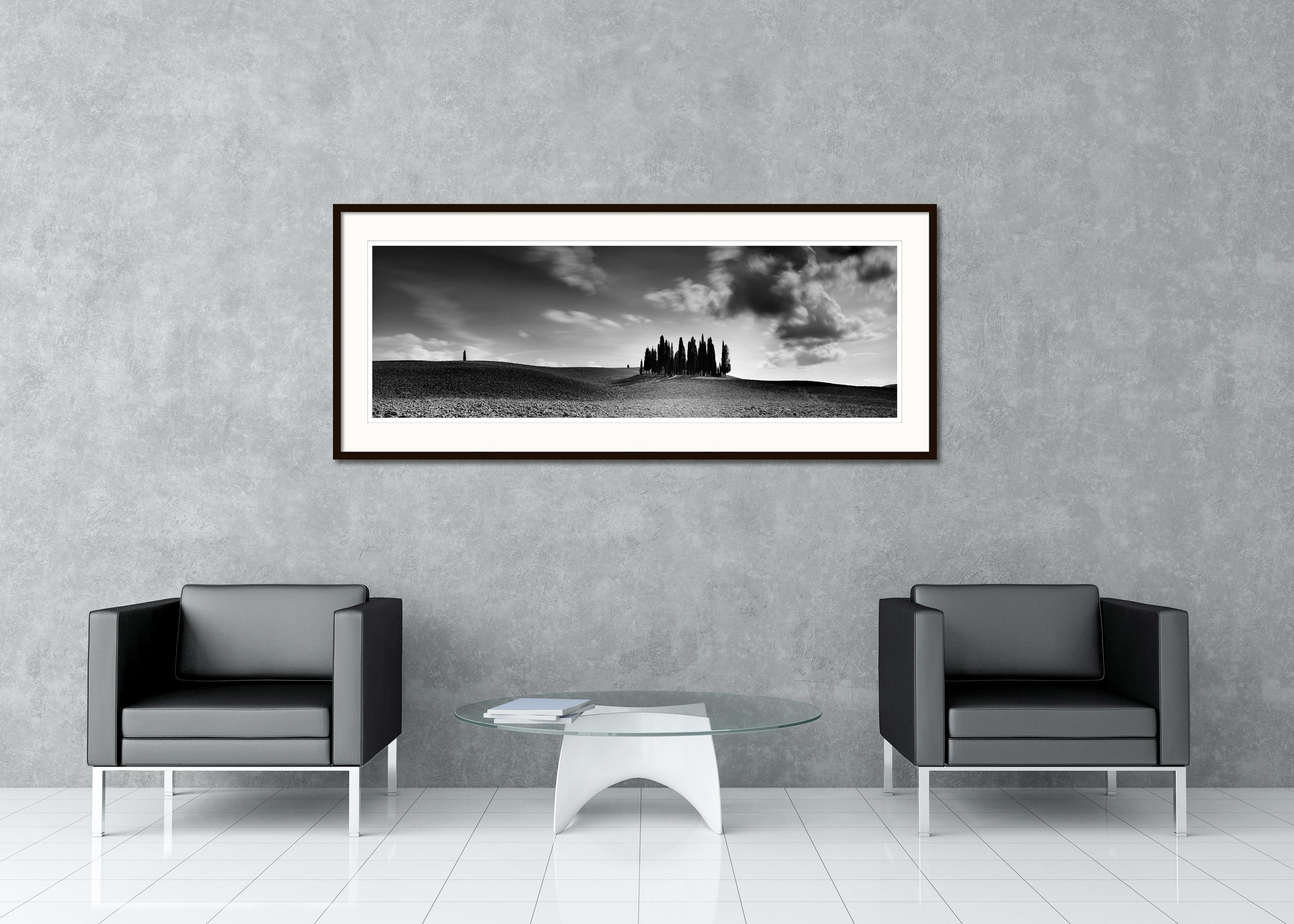 Cypress Tree, Field, Panorama, Tuscany, black and white landscape photography - Gray Landscape Photograph by Gerald Berghammer