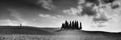 Cypress Hill Panorama Trees Tuscany black white fine art landscape photography