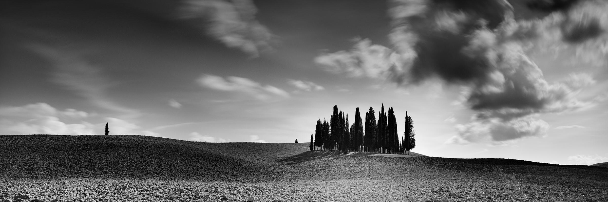 Gerald Berghammer Landscape Photograph – Zypressenbaum, Feld, Panorama, Toskana, Schwarz-Weiß-Landschaftsfotografie