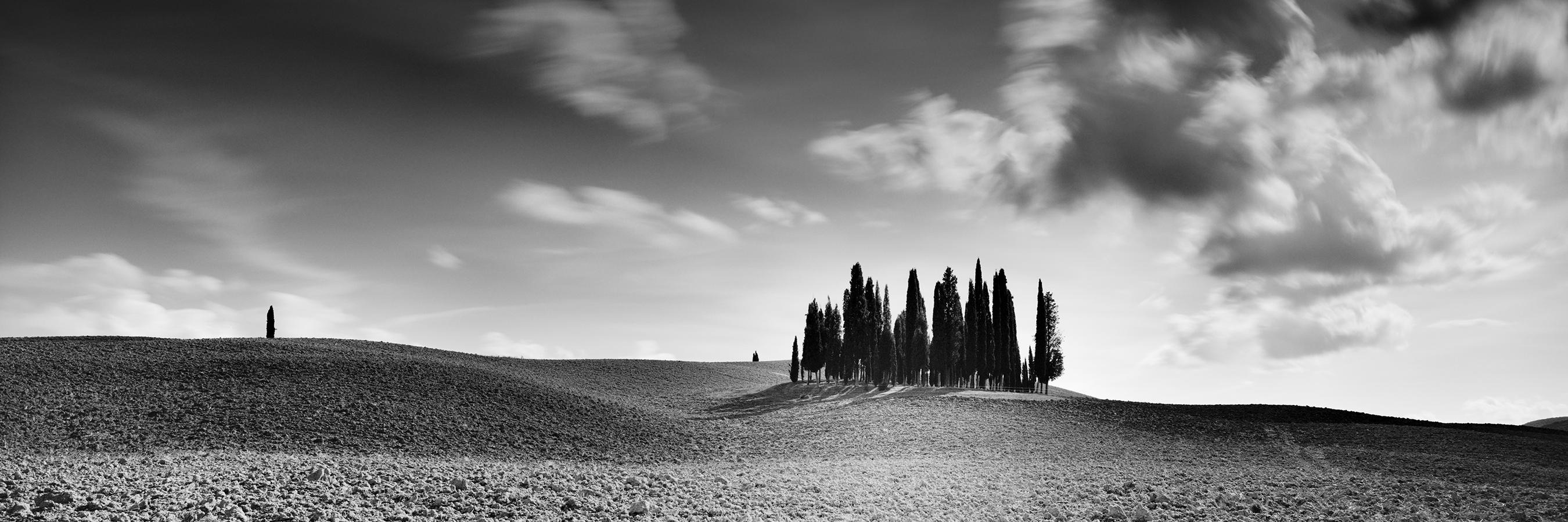 Gerald Berghammer Cypress Hill Panorama, Tuscany, black and white