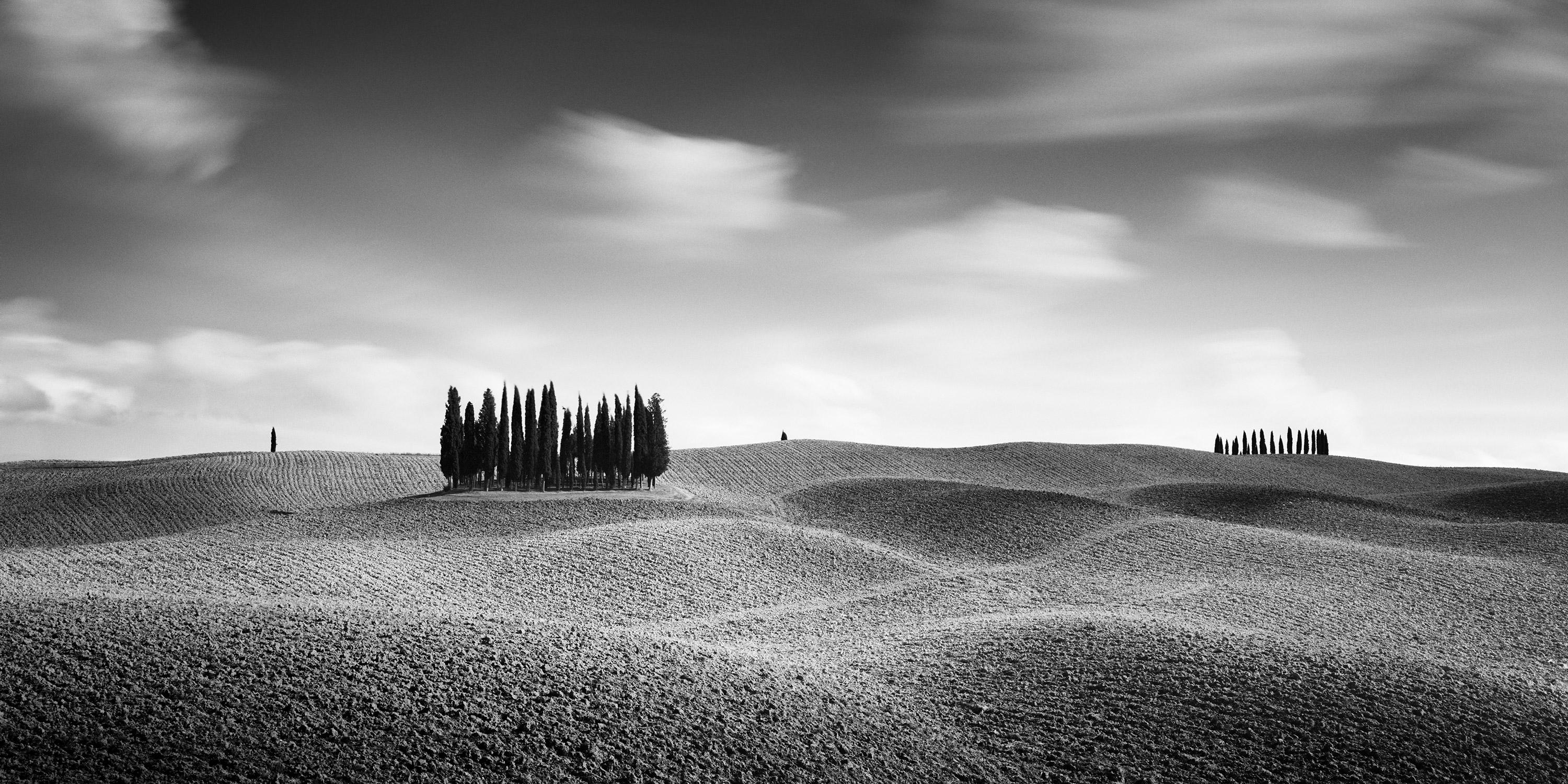 Cypress Hill Panorama, Tuscany, black and white fine art photography, landscapes