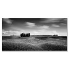 Cypress Hill Panorama, Tuscany, black and white photograph, limited landscape