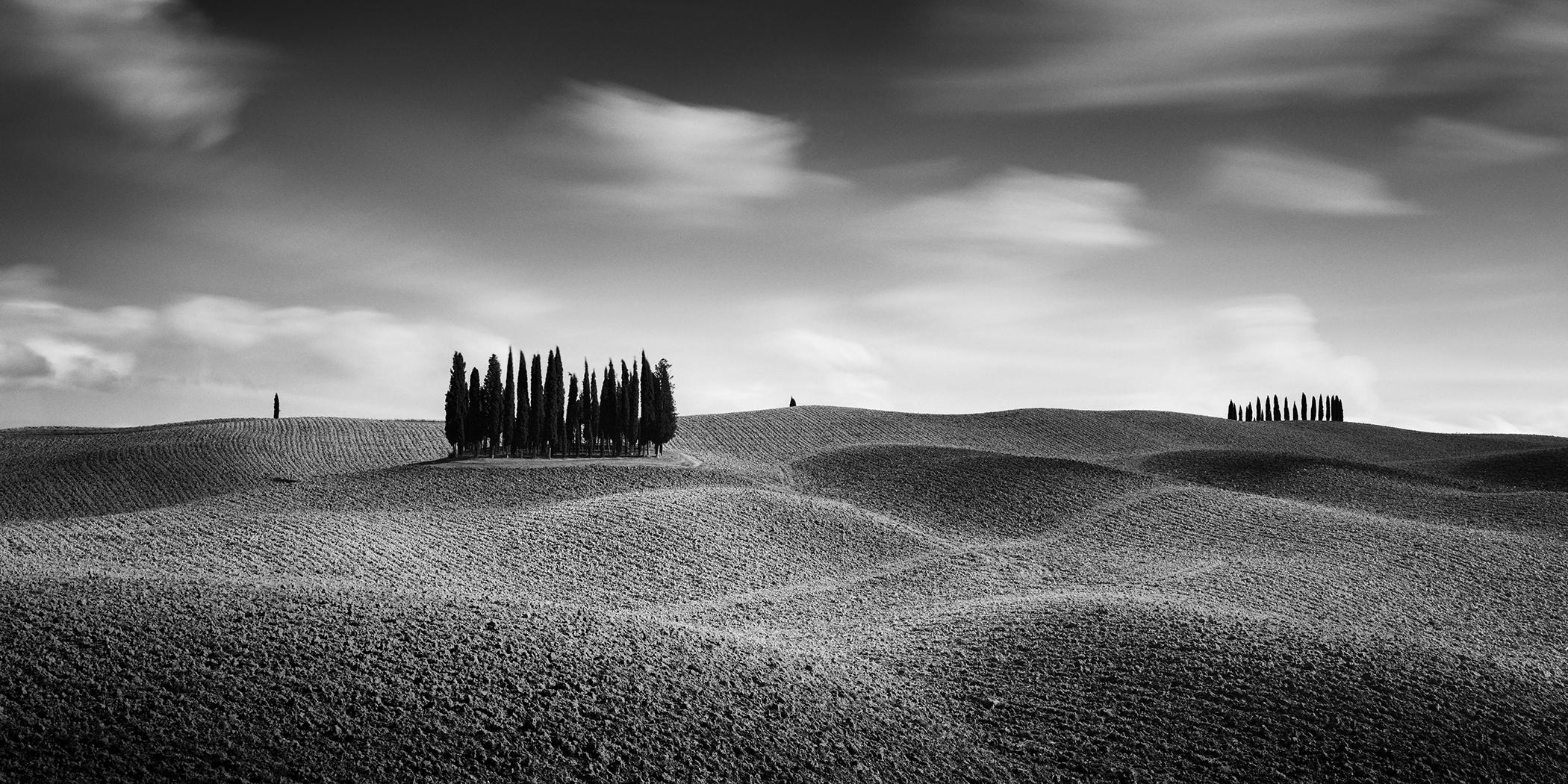 Cypress Hill Panorama, Toskana, Schwarz-Weiß-Fotografie, limitierte Landschaft