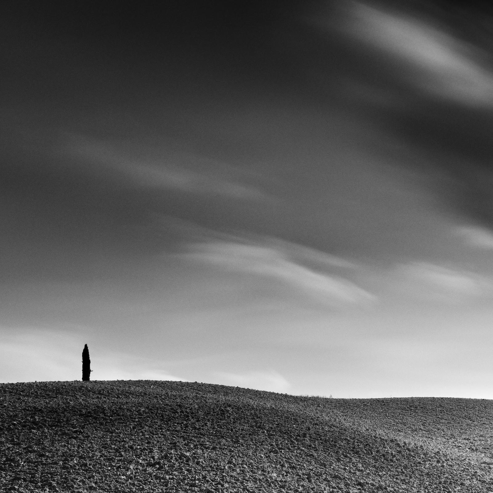 Cypress Hill Panorama, Tuscany, black and white photography, fine art landscape For Sale 2