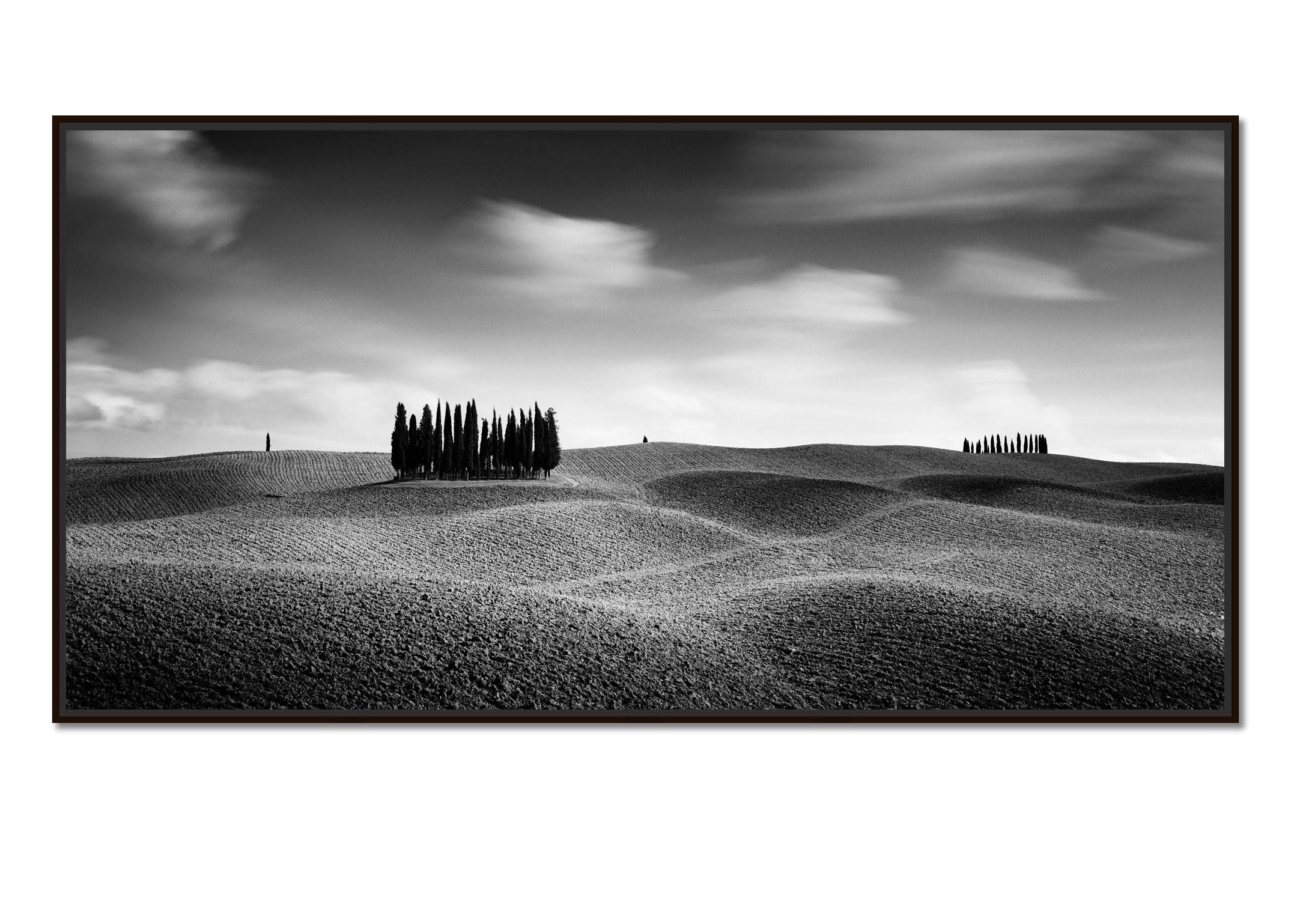 Cypress Hill Panorama, Tuscany, black and white photography, fine art, landscape - Photograph by Gerald Berghammer