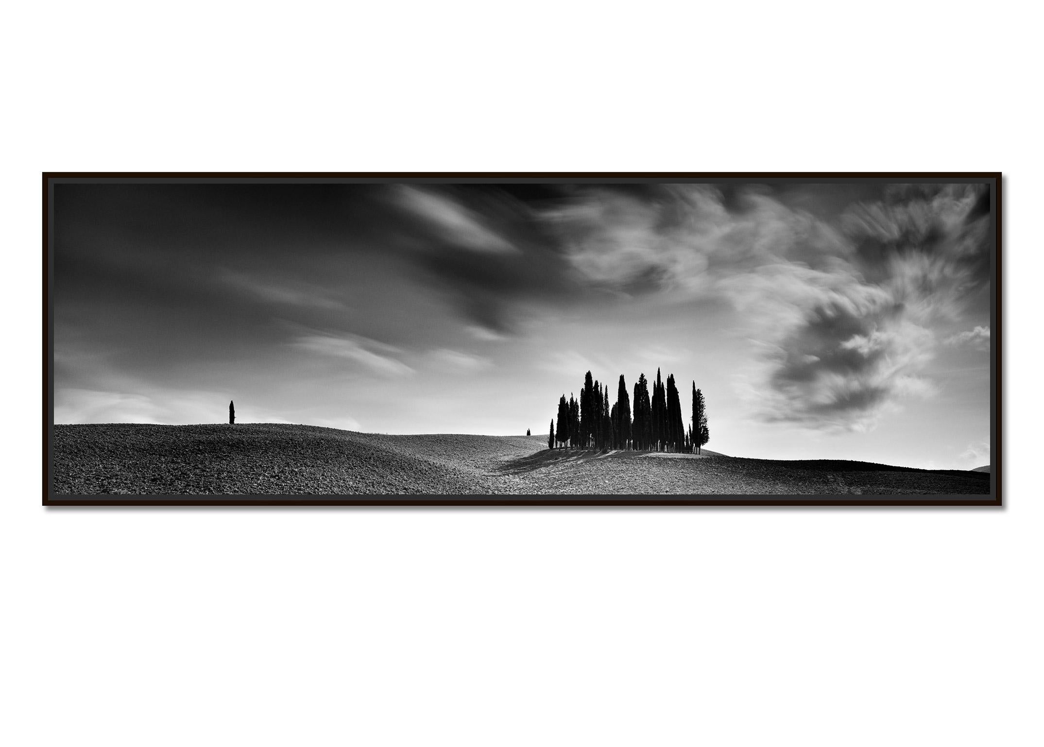 Cypress Hill Panorama, Tuscany, black and white photography, fine art landscape - Photograph by Gerald Berghammer
