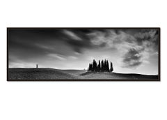 Panorama di Cypress Hill, Toscana, fotografia in bianco e nero, paesaggio d'autore