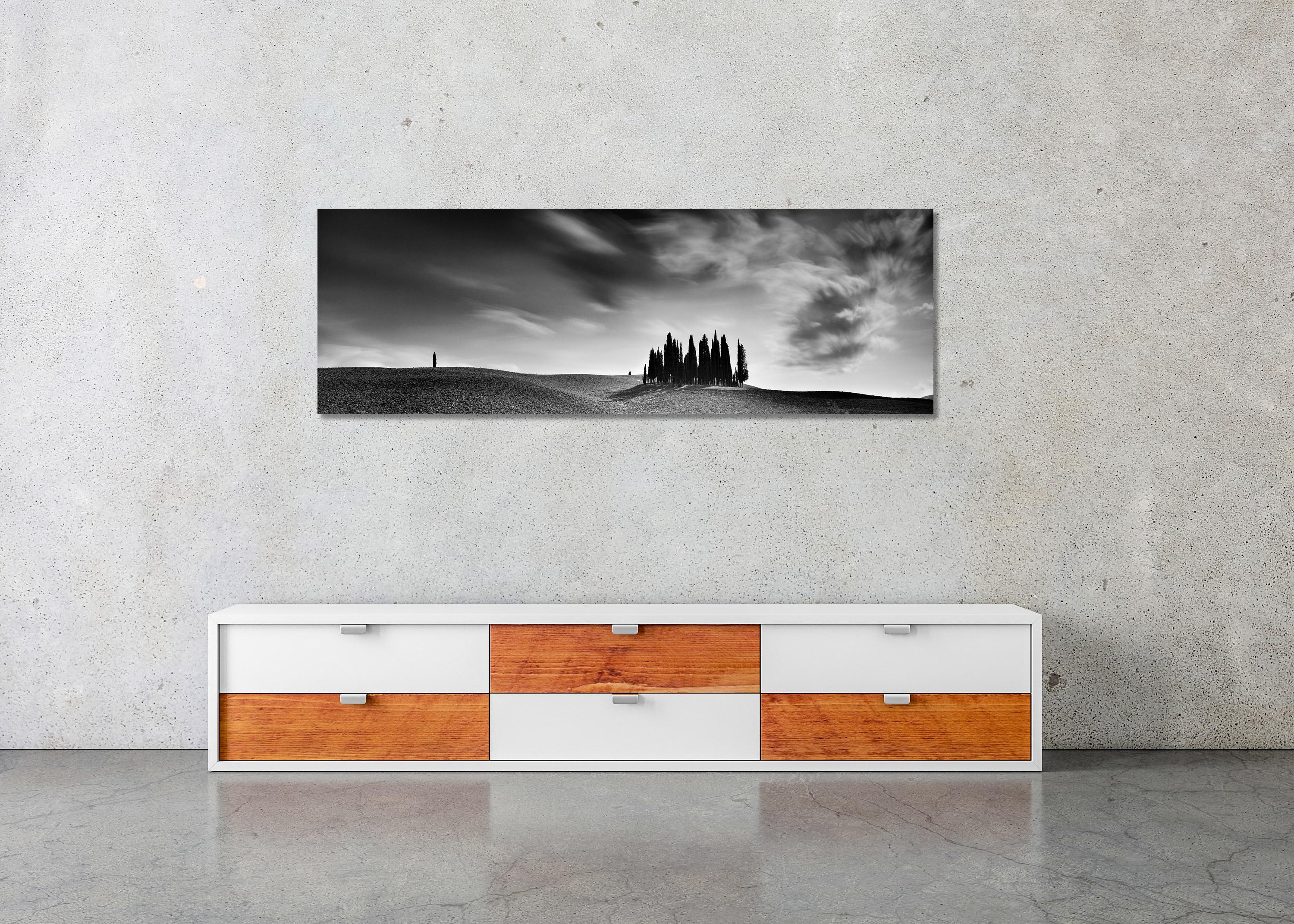 Cypress Hill Panorama, Tuscany, black and white photography, fine art landscape - Contemporary Photograph by Gerald Berghammer