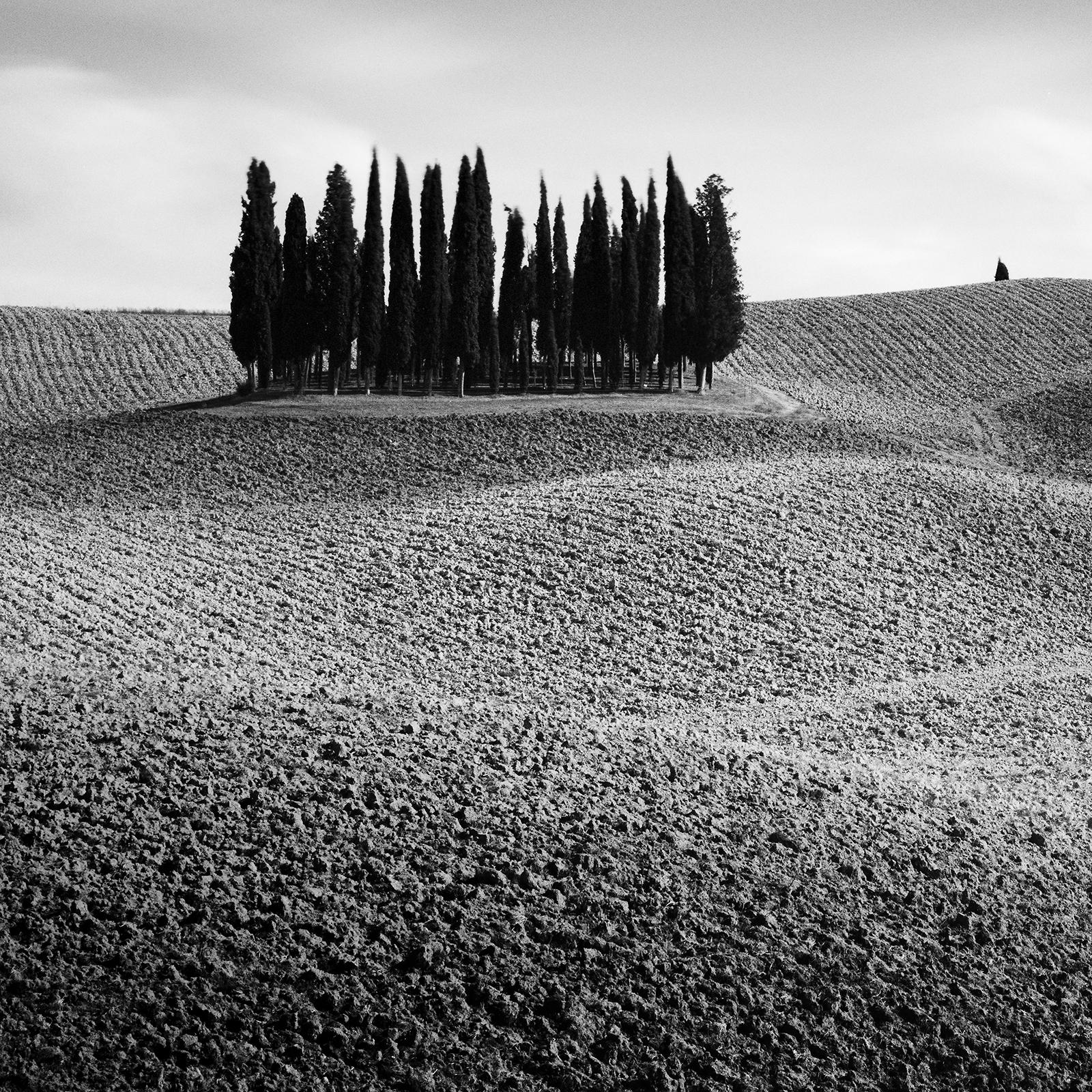 Cypress Hill Panorama, Tuscany, black and white photography, fine art, landscape For Sale 1