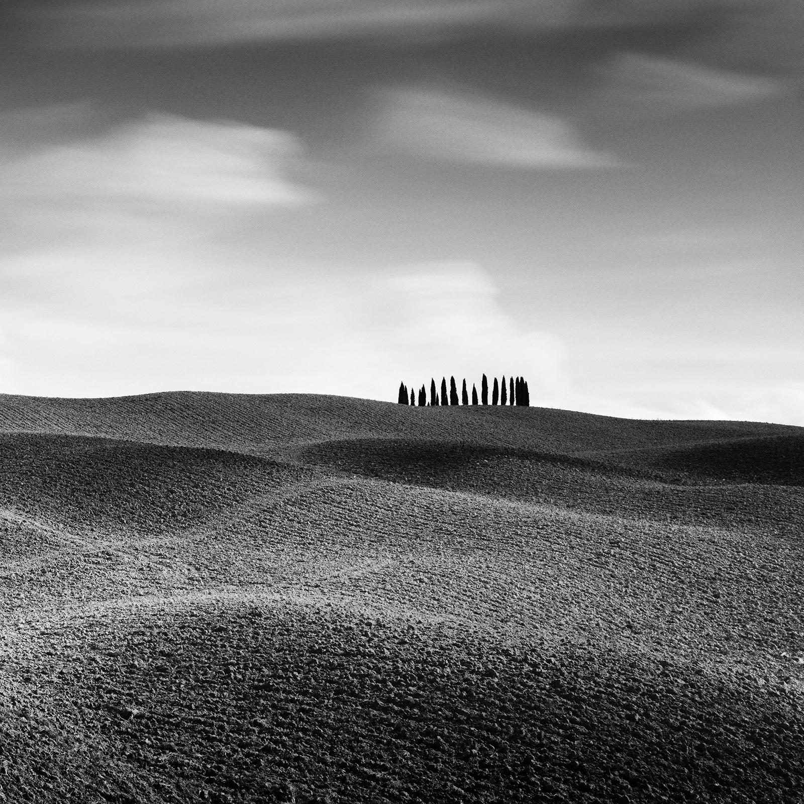 Cypress Hill Panorama, Tuscany, black and white photography, fine art, landscape For Sale 2