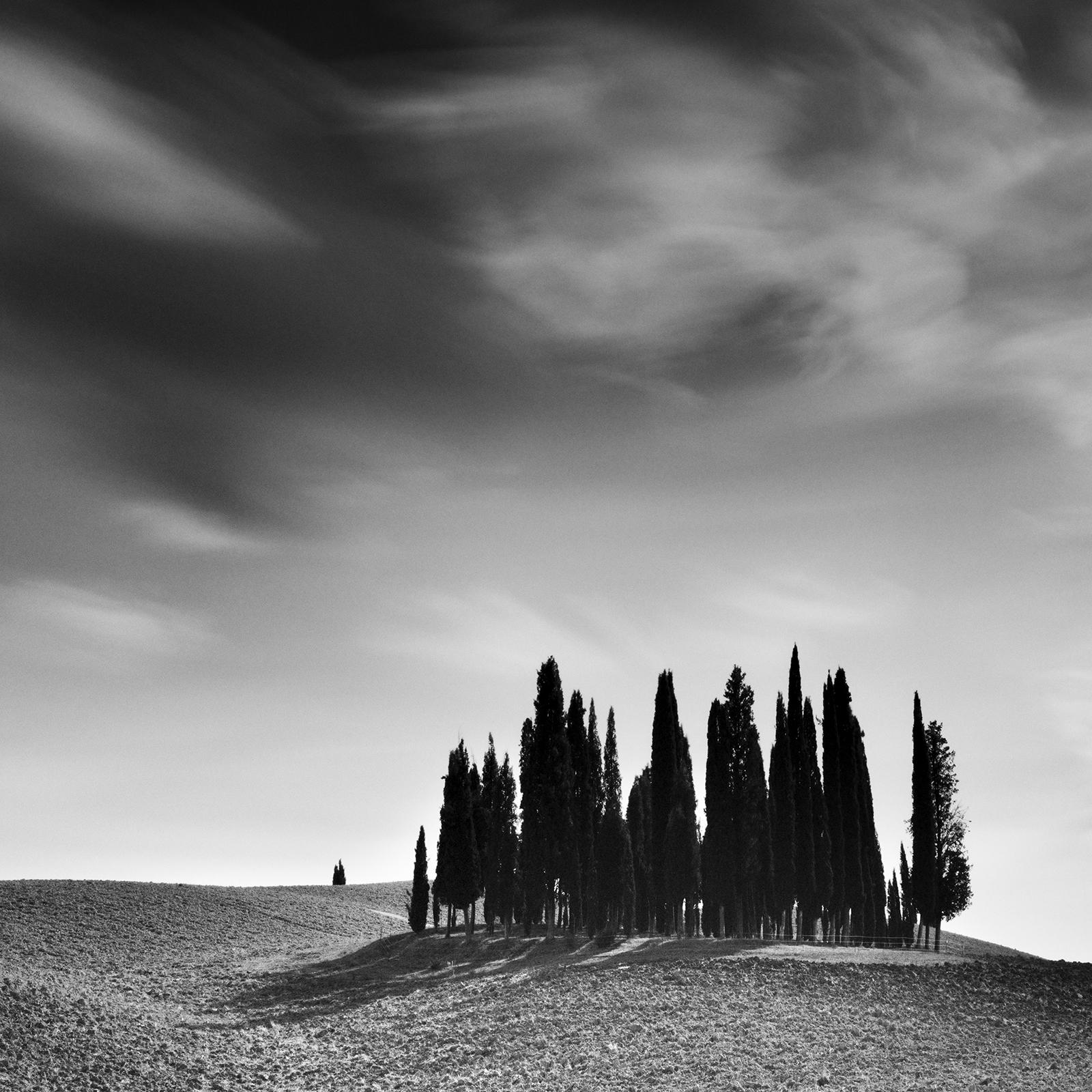 Black and white fine art long exposure panorama landscape photography. Cypress trees in a hilly landscape in the middle of Tuscany, Italy. Archival pigment ink print, edition of 9. Signed, titled, dated and numbered by artist. Certificate of