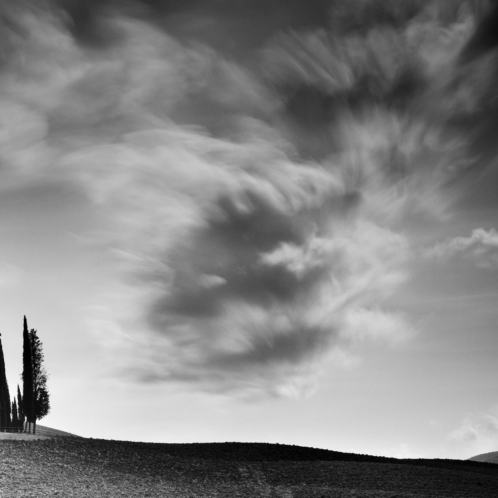 Cypress Hill Panorama, Tuscany, black and white photography, fine art landscape For Sale 1