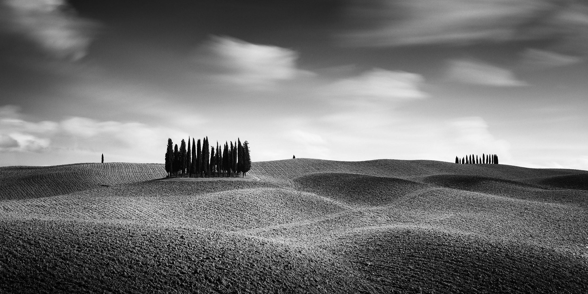 Gerald Berghammer Landscape Photograph - Cypress Hill Panorama, Tuscany, black and white photography, fine art, landscape
