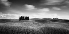 Cypress Hill Panorama, Tuscany, black and white photography, fine art, landscape
