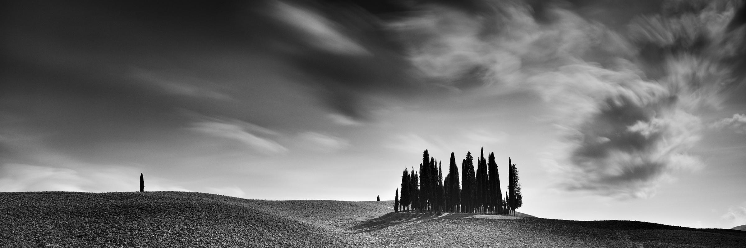 Cypress Hill Panorama, Tuscany, black and white photography, fine art landscape