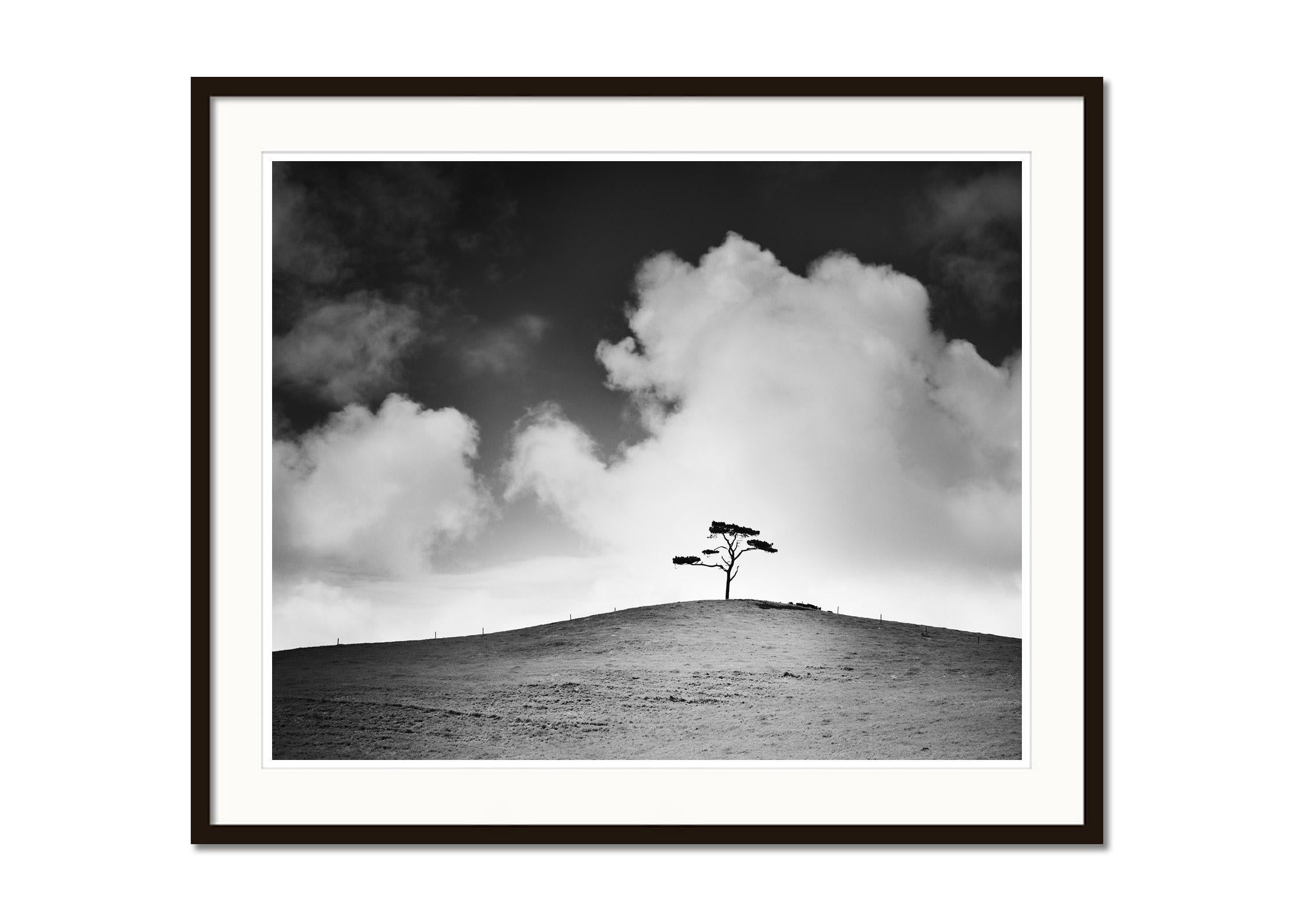 Cypress Hill, arbre unique, champ, Irlande, impression de paysage en noir et blanc - Gris Black and White Photograph par Gerald Berghammer