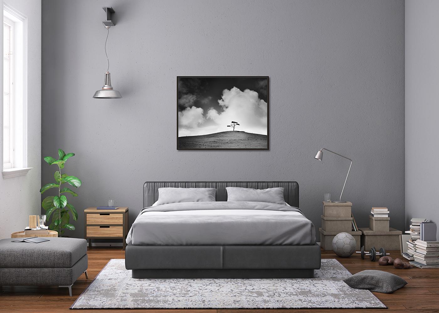 Cypress Hill, árbol único, Irlanda, fotografía en blanco y negro, edición limitada en venta 2