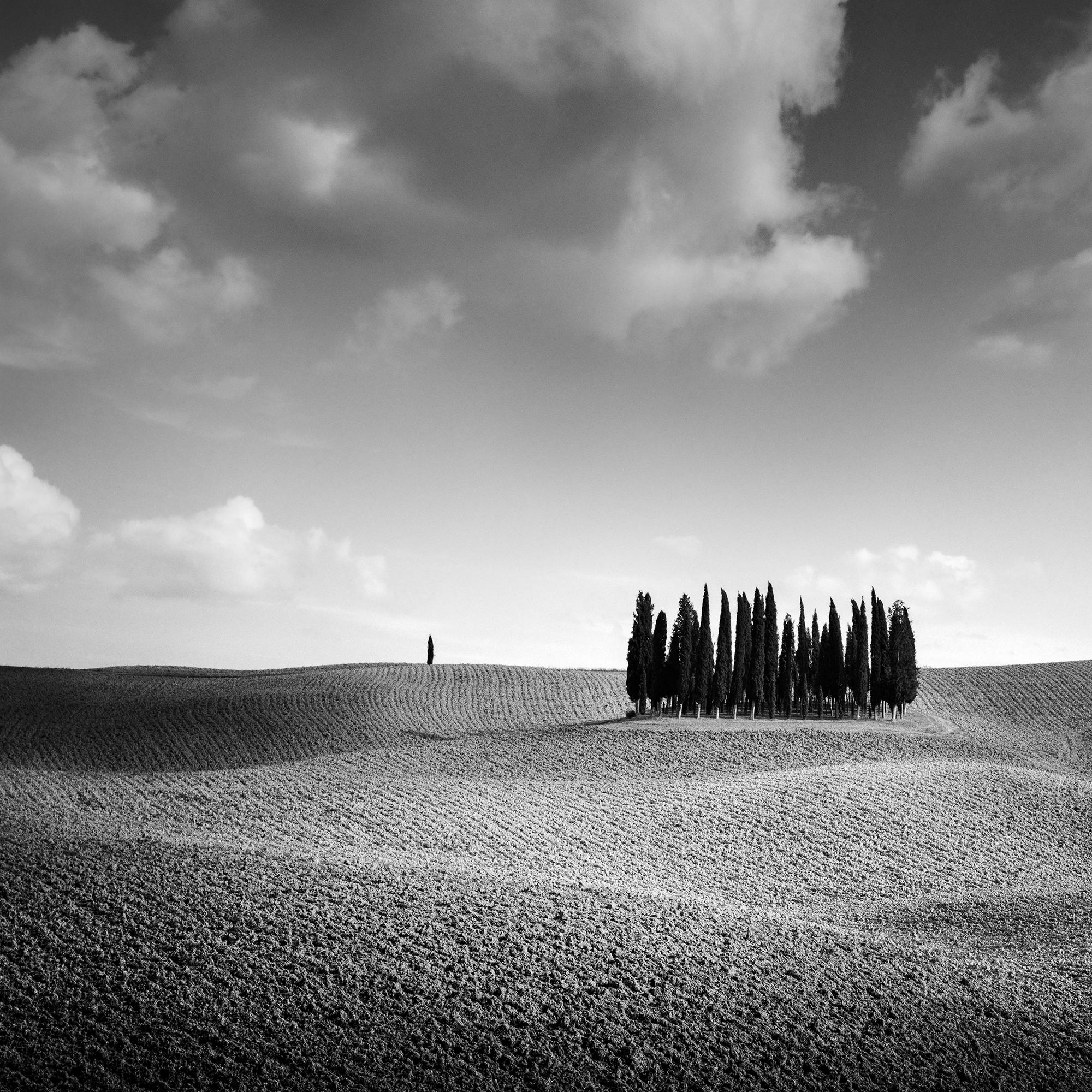 Colina del Ciprés, Árbol, Toscana, fotografía artística en blanco y negro, paisaje en venta 5