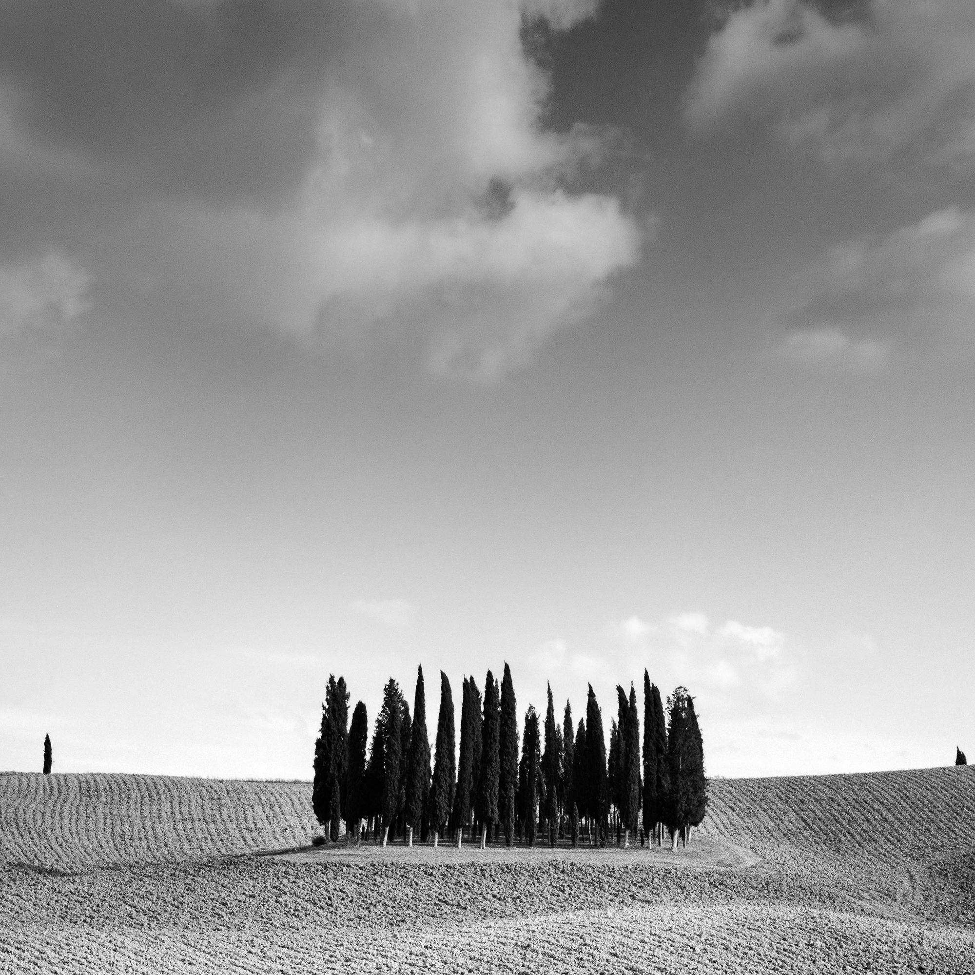 Colina del Ciprés, Árbol, Toscana, fotografía artística en blanco y negro, paisaje en venta 7