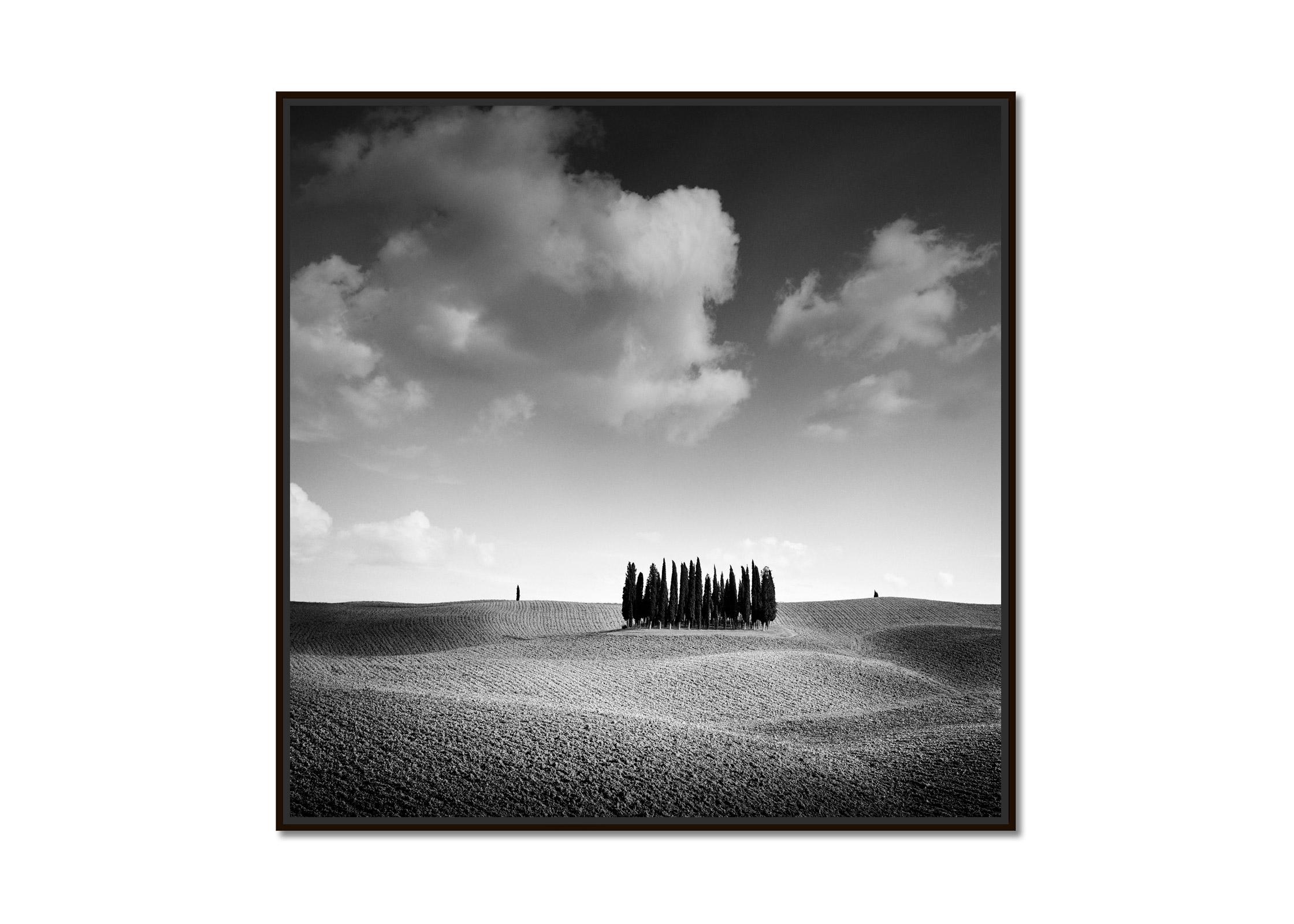   Cypress Hill, Tree, Tuscany, black and white fine art photography, landscape - Photograph by Gerald Berghammer