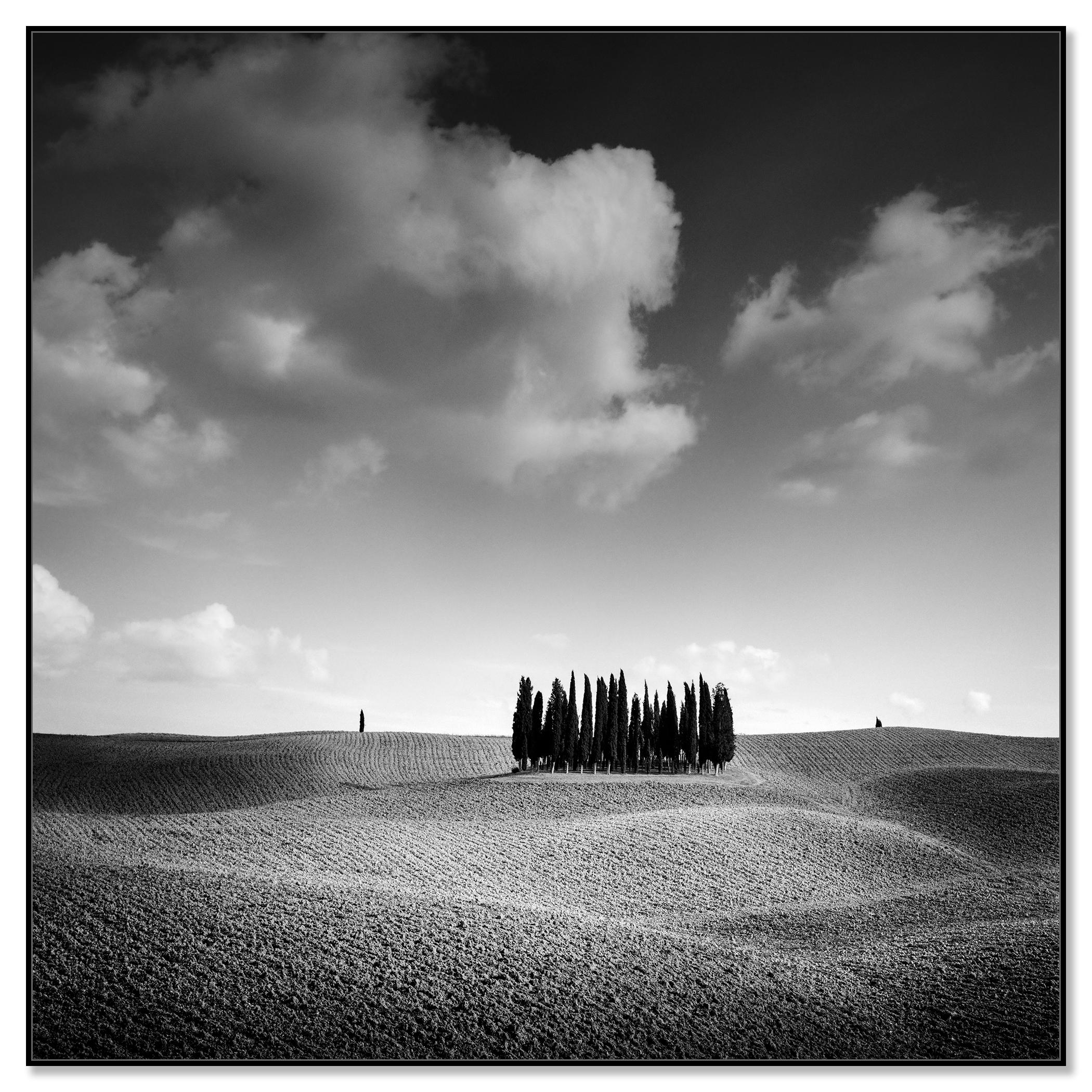 Colina del Ciprés, Árbol, Toscana, fotografía artística en blanco y negro, paisaje - Photograph de Gerald Berghammer