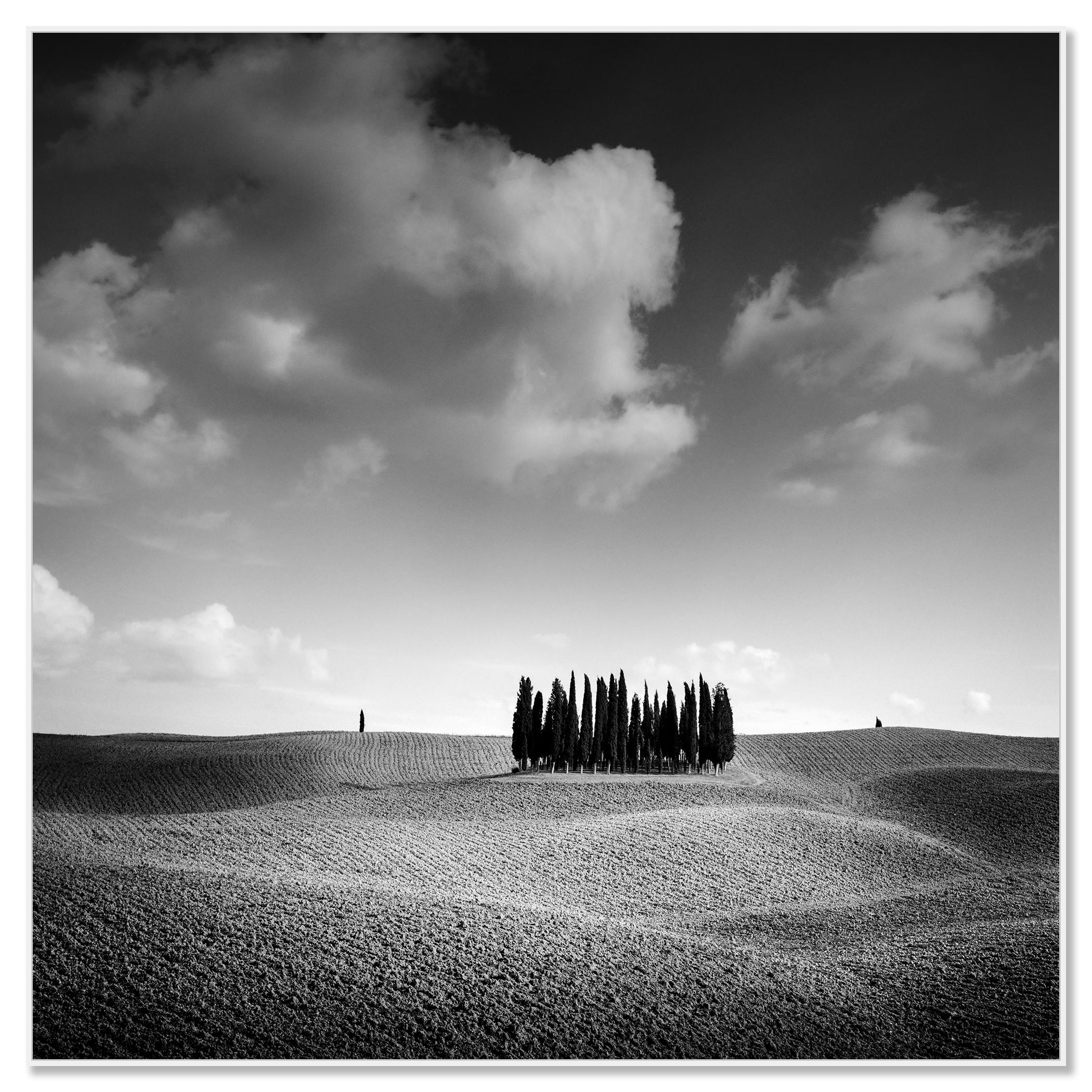 Colina del Ciprés, Árbol, Toscana, fotografía artística en blanco y negro, paisaje - Photograph Contemporáneo de Gerald Berghammer