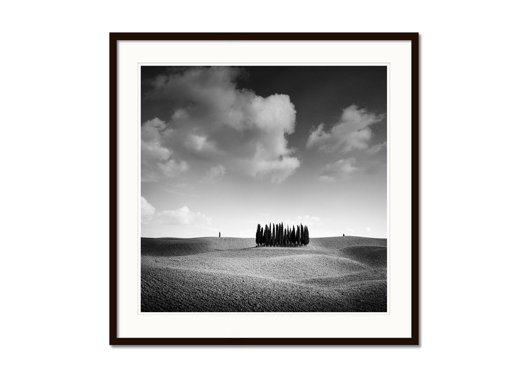 Black and White Fine Art landscape photography. Famous group of cypress trees in autumn on the hills of Tuscany, Italy. Archival pigment ink print, edition of 5. Signed, titled, dated and numbered by artist. Certificate of authenticity included.