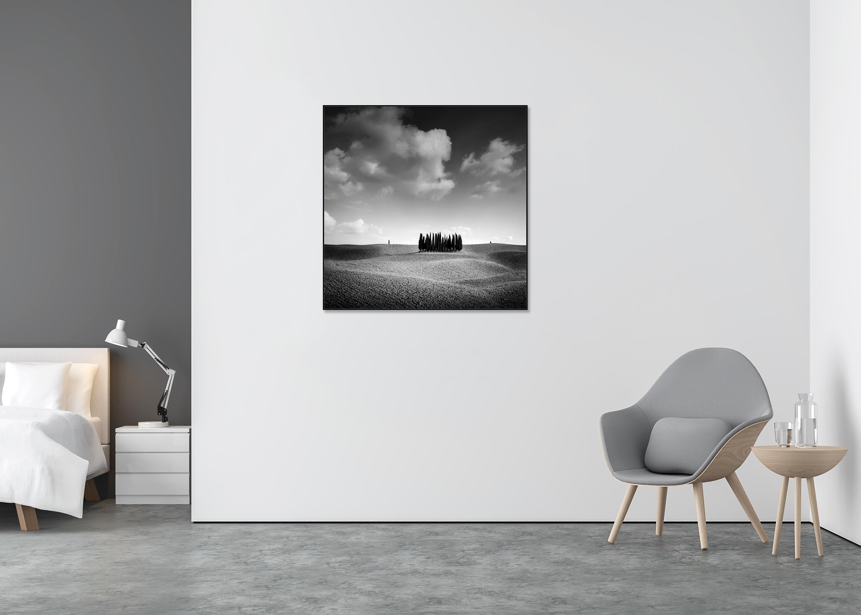 Colina del Ciprés, Árbol, Toscana, fotografía artística en blanco y negro, paisaje - Black and White Photograph Gris de Gerald Berghammer