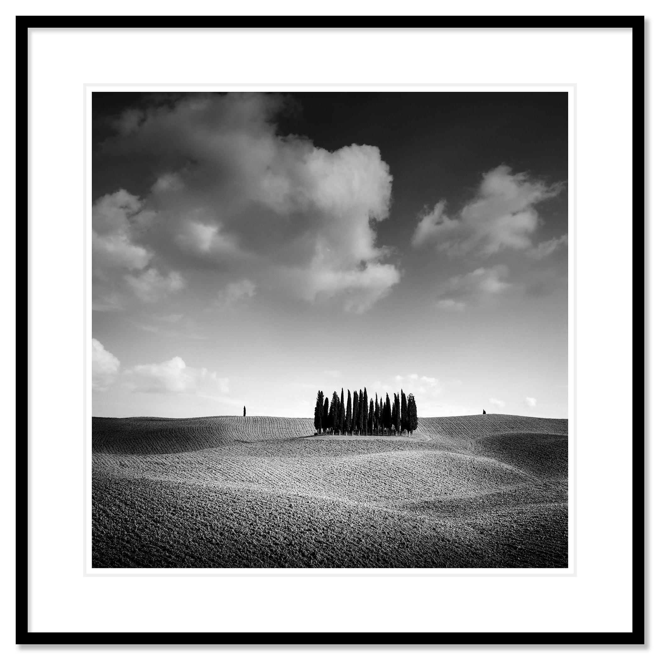 Fotografía artística de paisajes en blanco y negro. Famoso grupo de cipreses en otoño en las colinas de la Toscana, Italia. Impresión en tinta de pigmento de archivo, edición de 9. Firmada, titulada, fechada y numerada por el artista. Certificado de