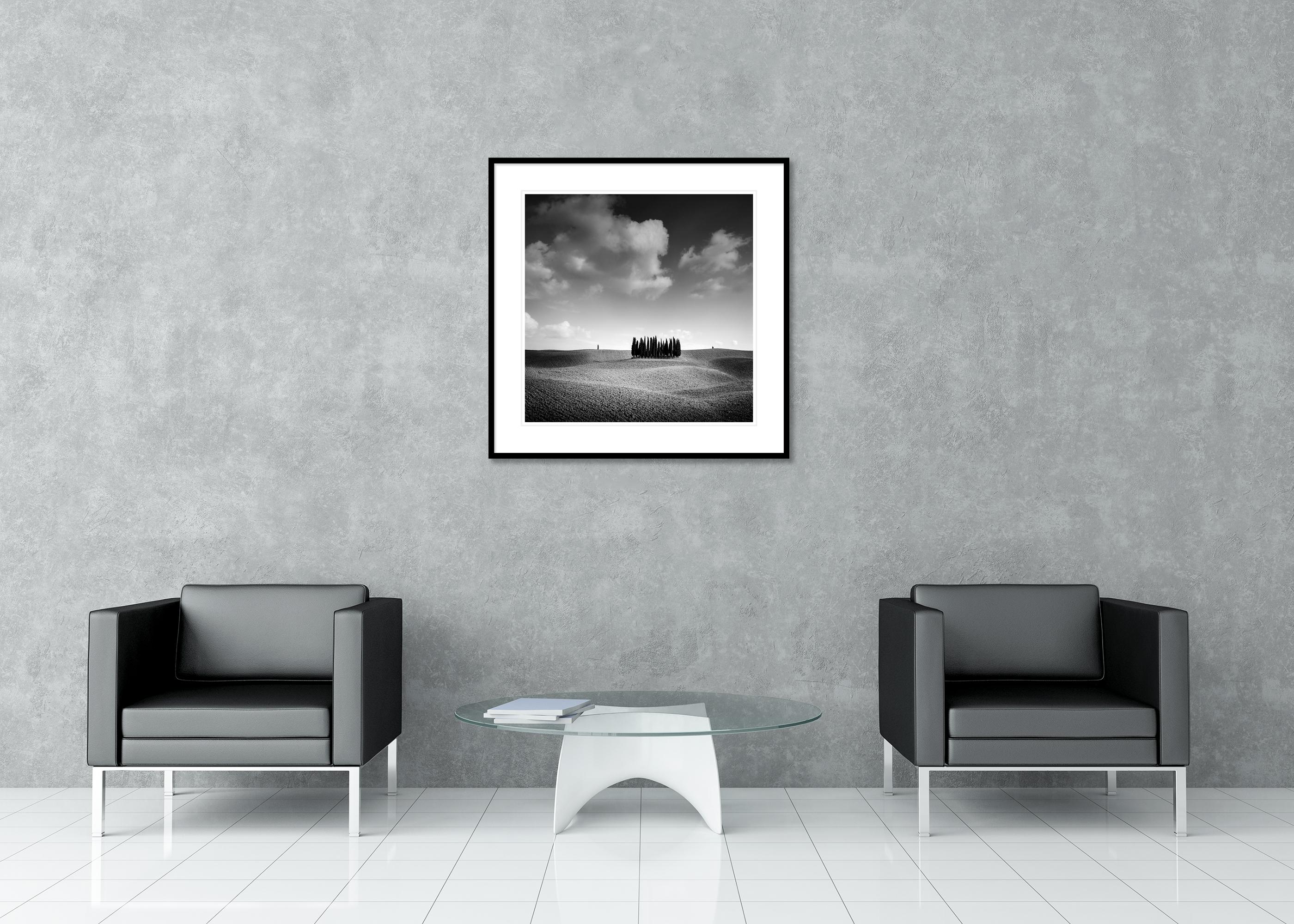 Colina del Ciprés, Árbol, Toscana, fotografía artística en blanco y negro, paisaje en venta 2