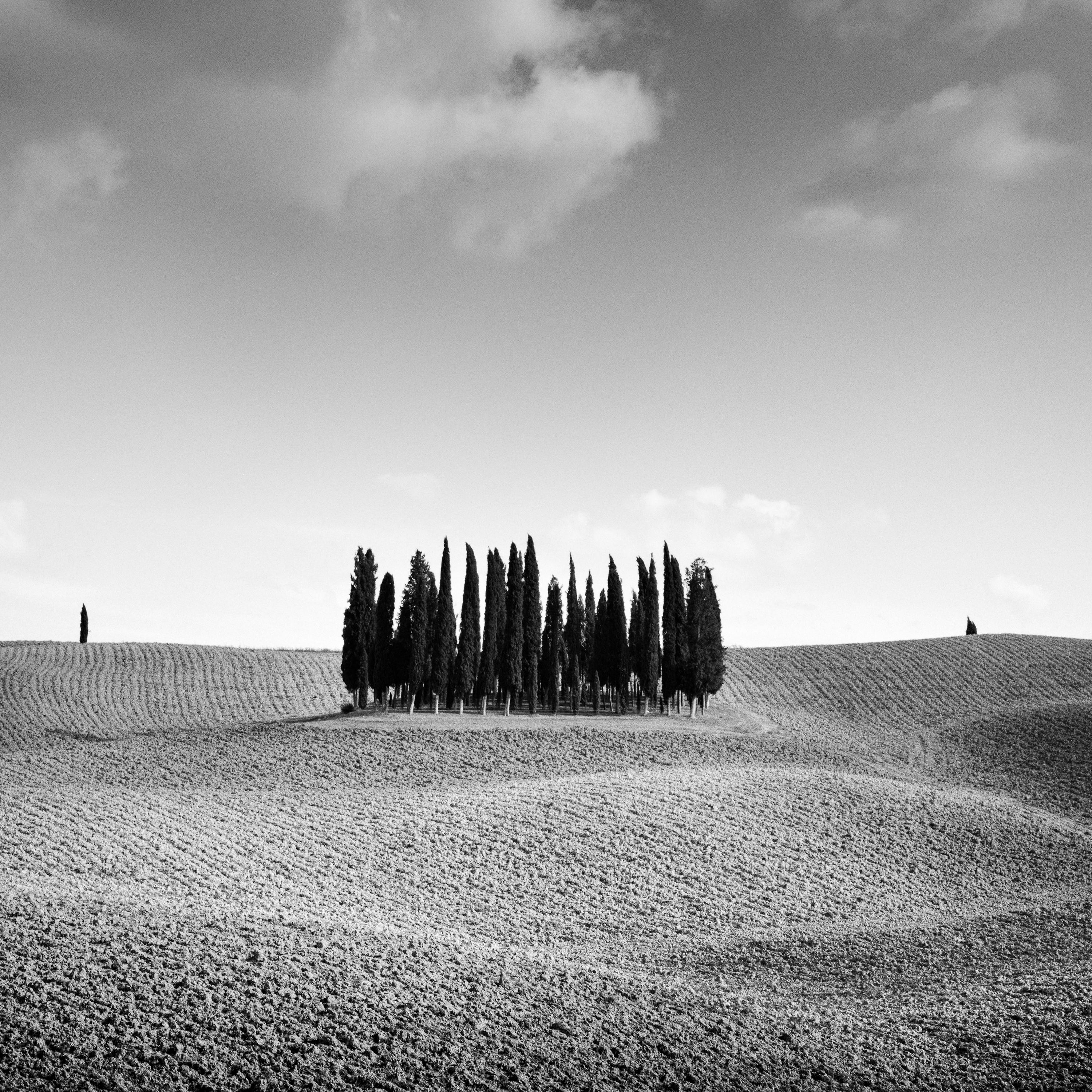   Cypress Hill, Tree, Tuscany, black and white fine art photography, landscape For Sale 4